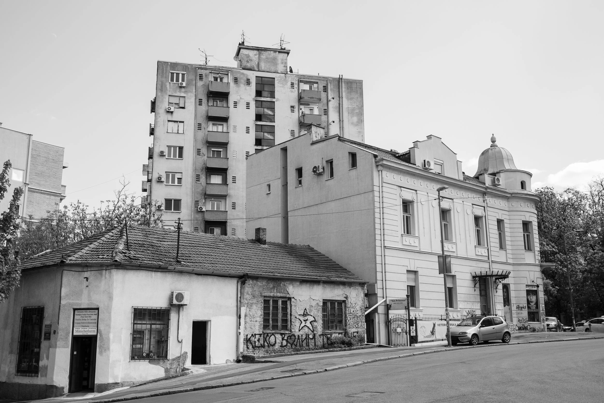 DSCF7119.jpg