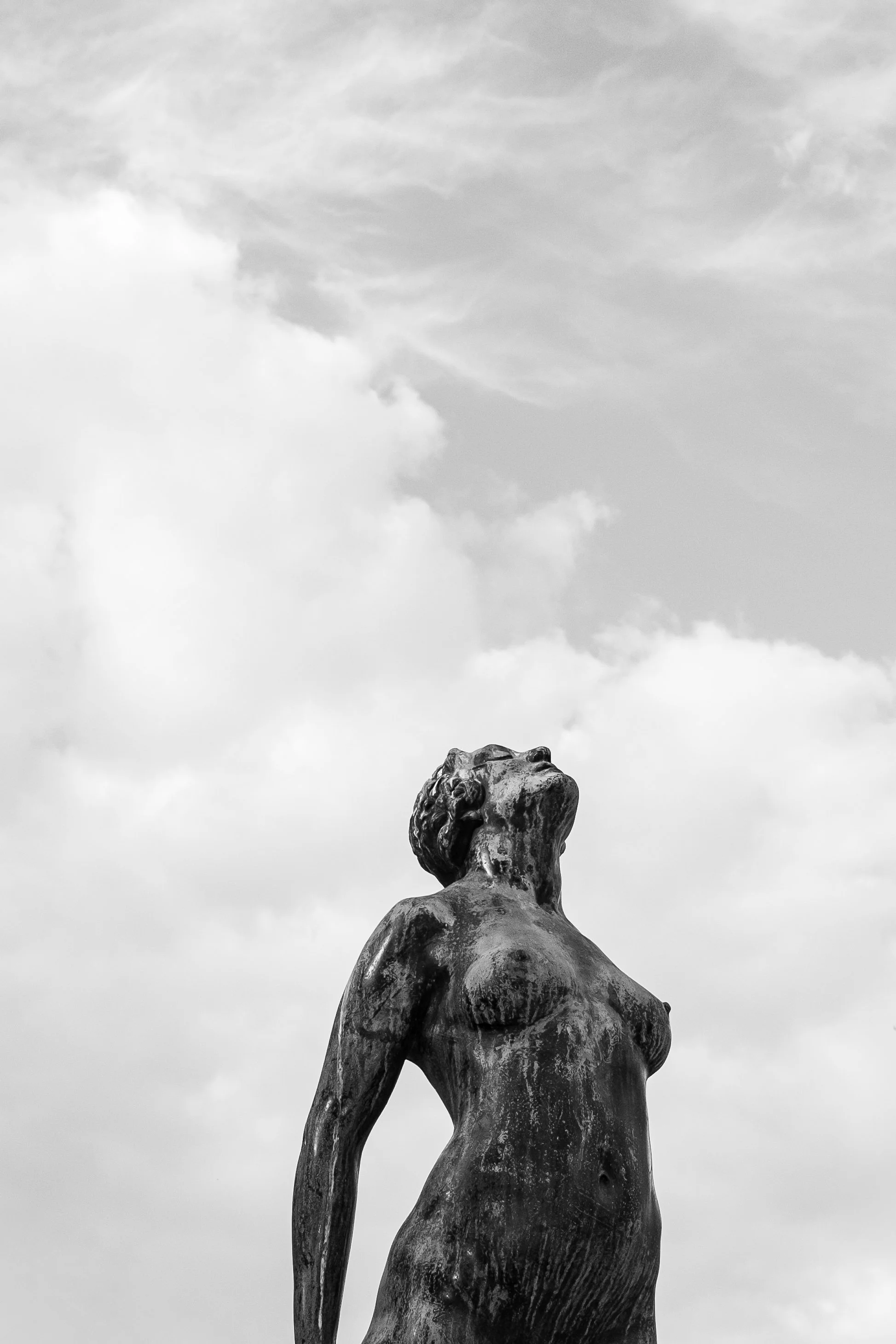 DSCF7405-2.jpg