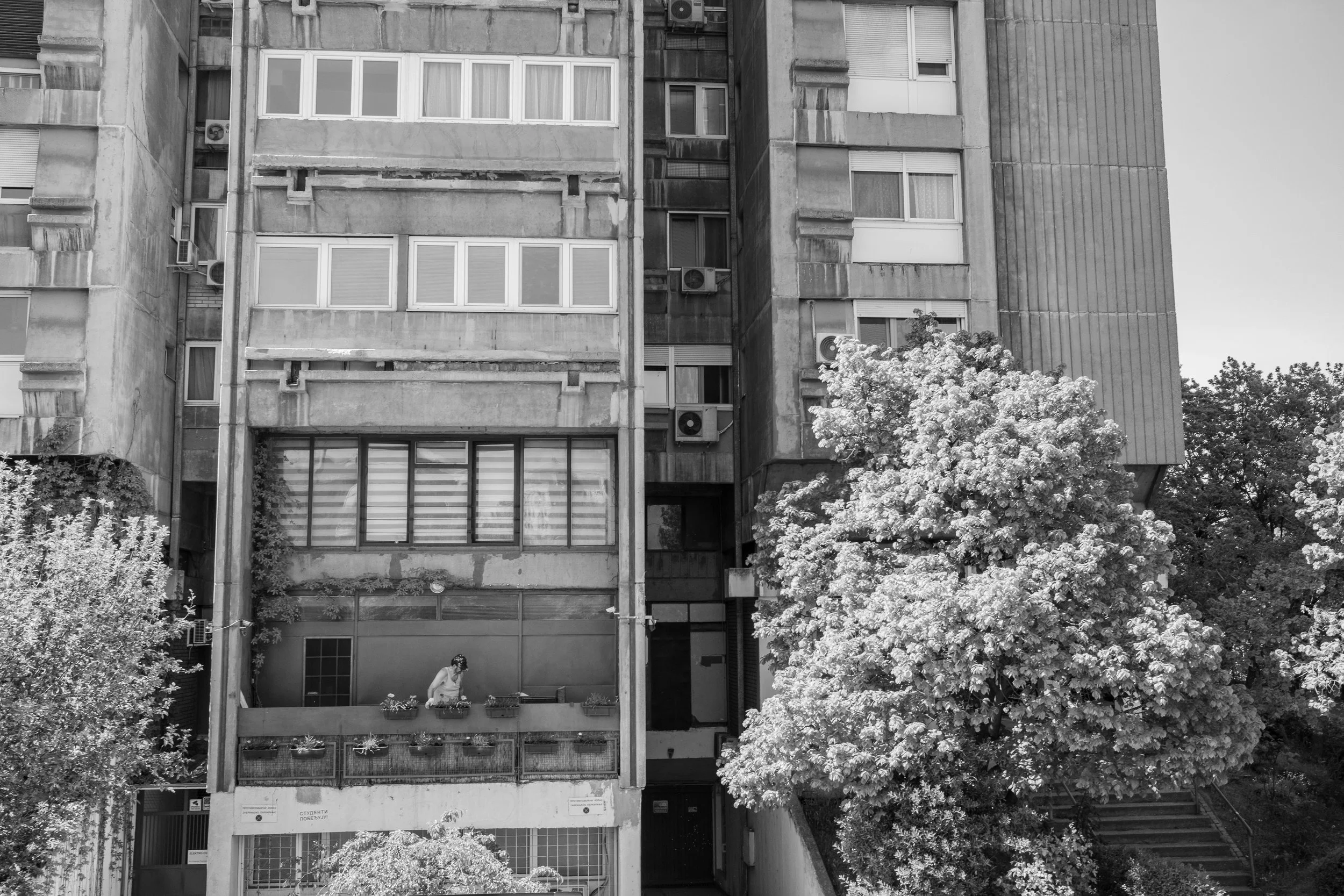 DSCF7660.jpg