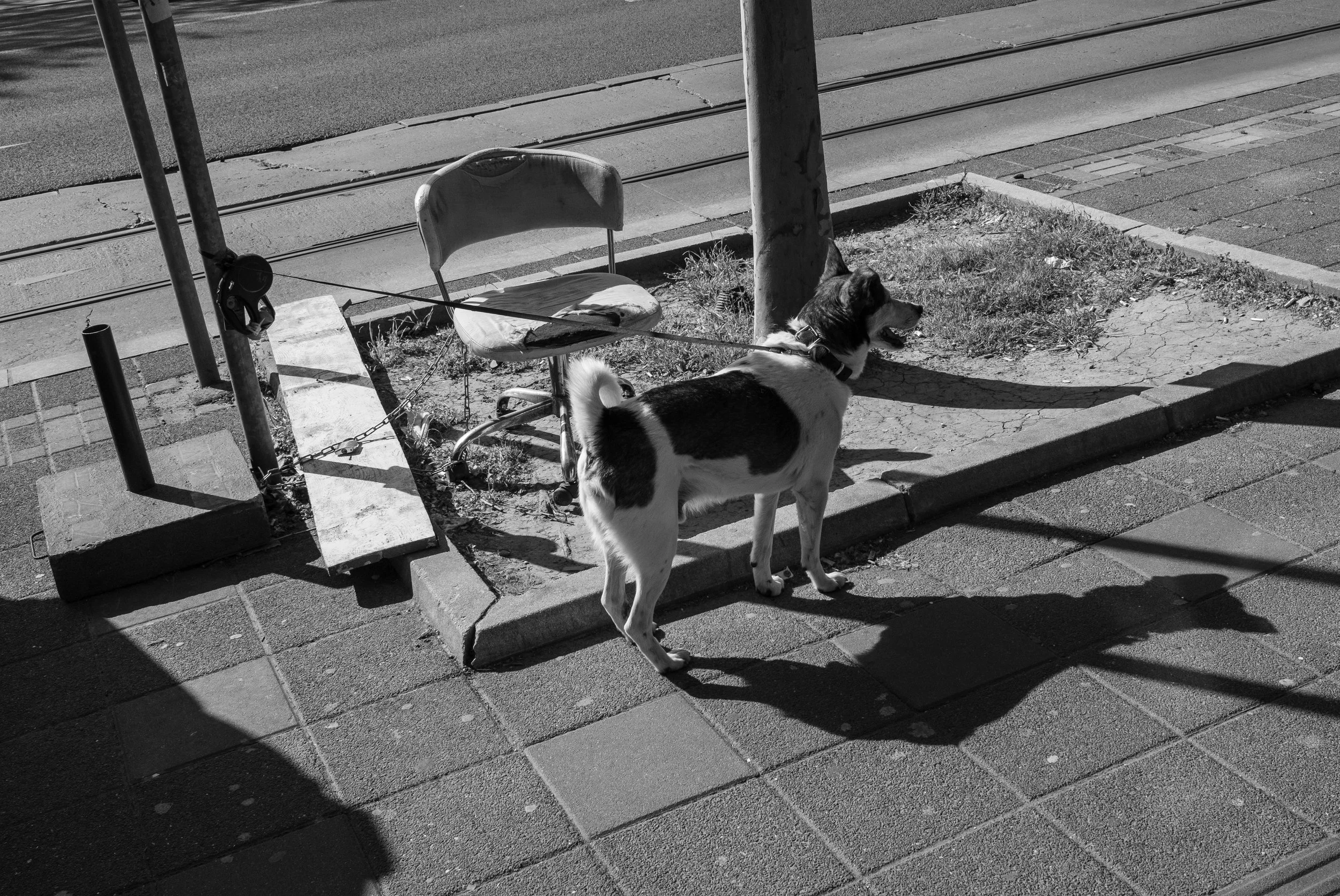 DSCF8042.jpg