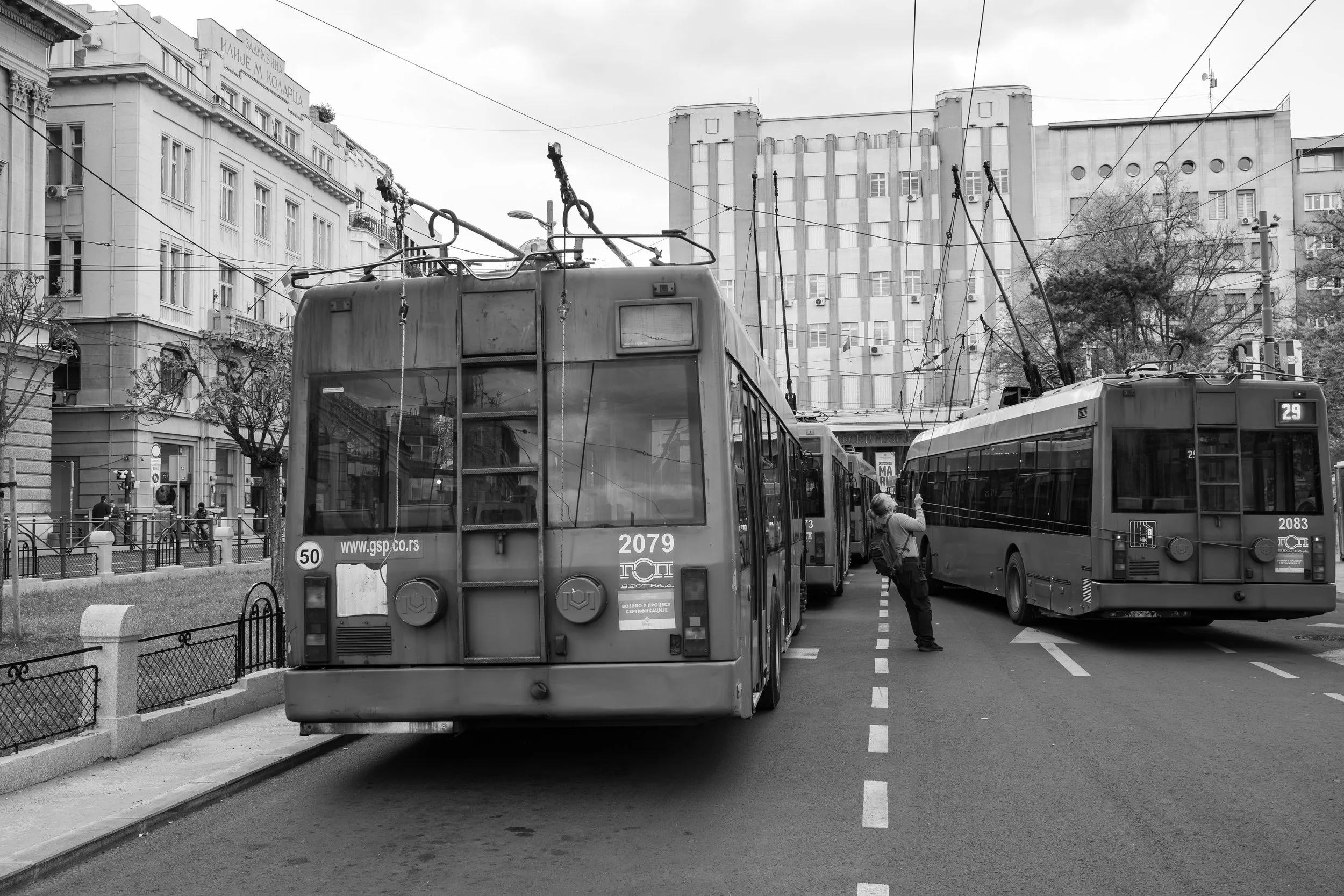 DSCF7744.jpg