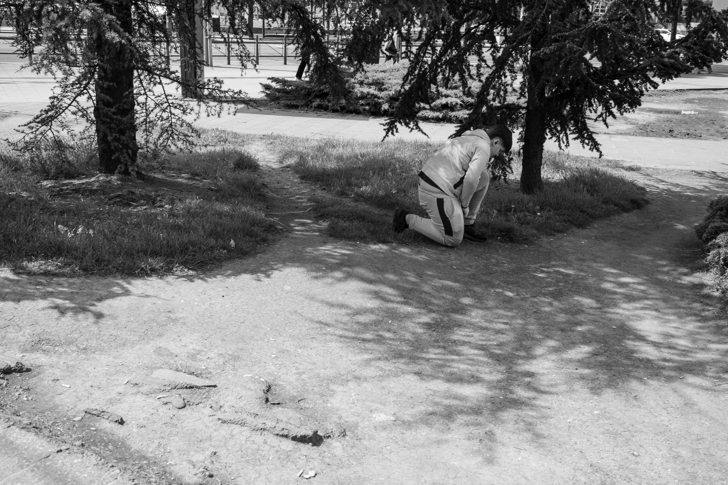DSCF7169.jpg
