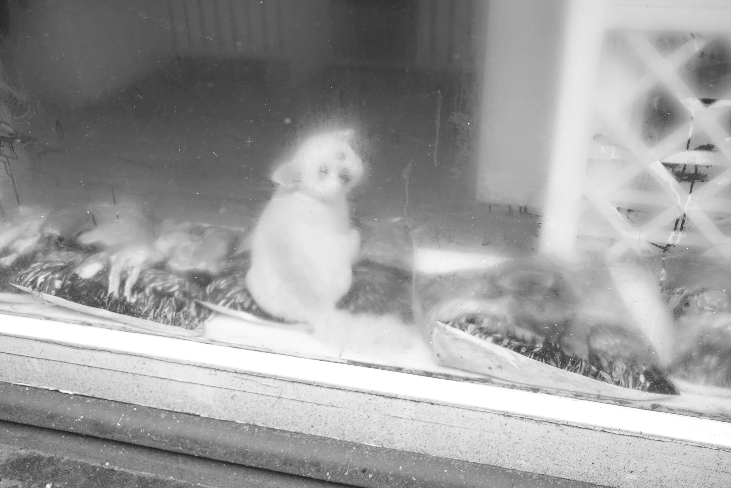 DSCF5073.jpg