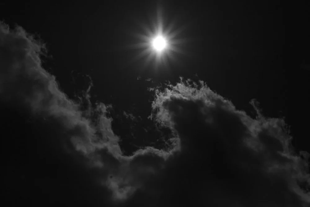 IMG_9115.jpg