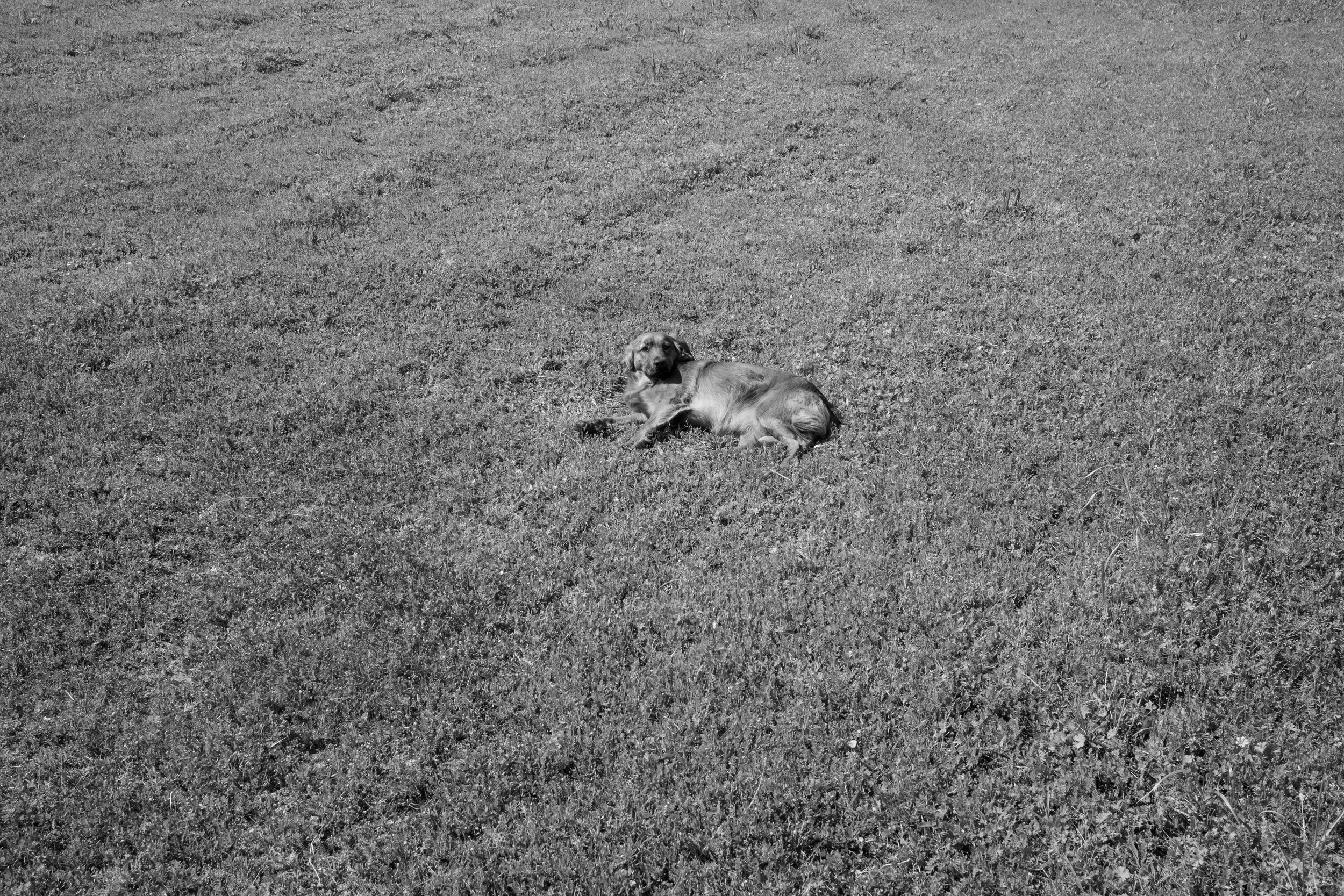 DSCF7694.jpg