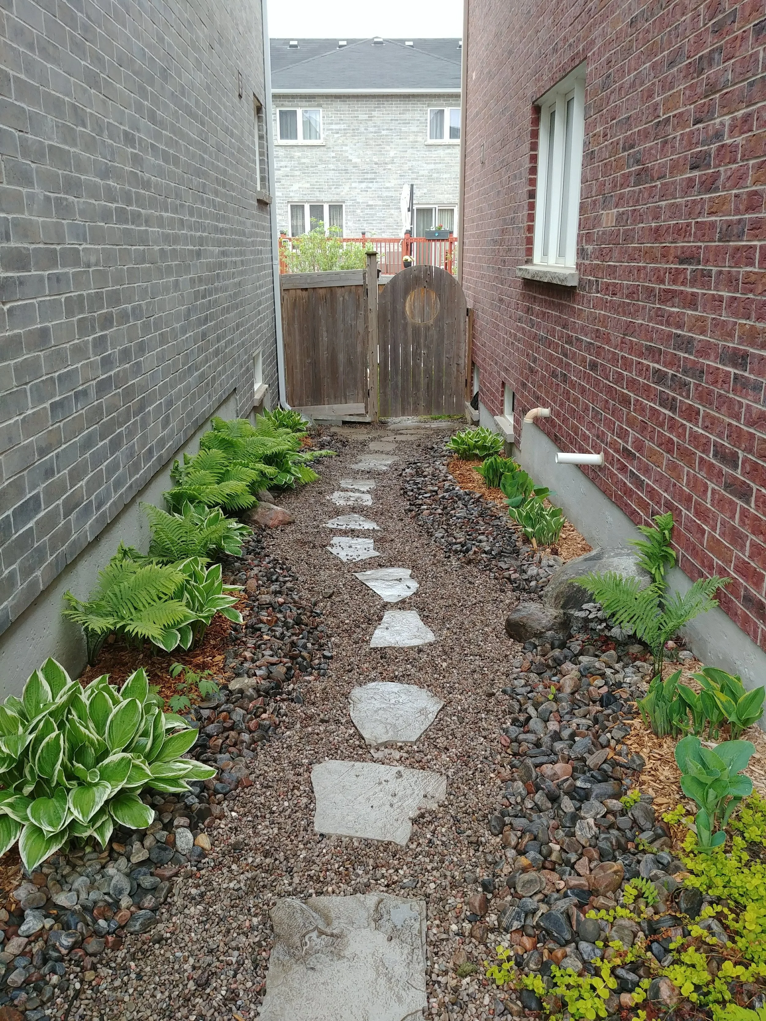 Side Yard Shade Garden