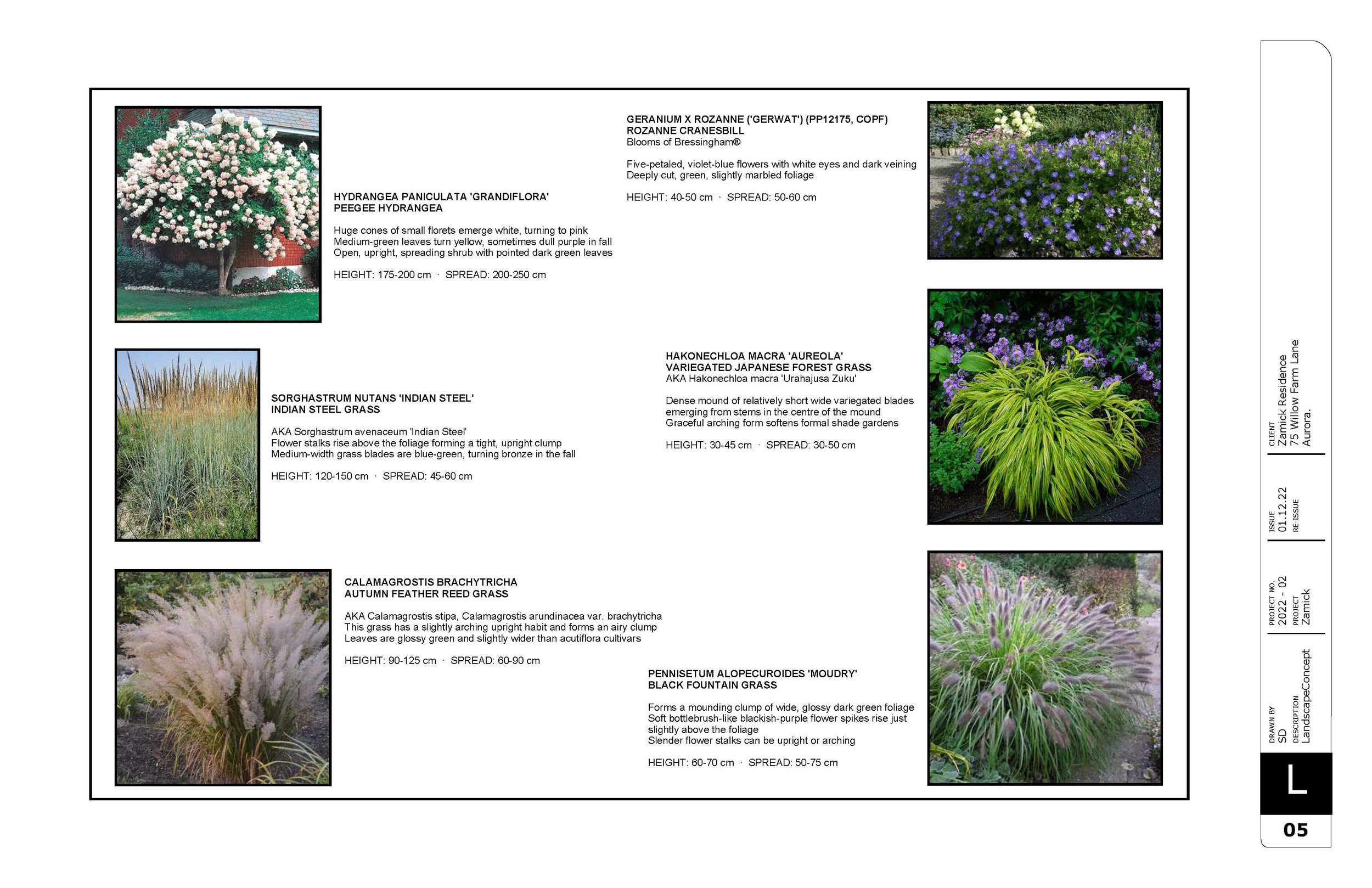 Zamick V4. 24.01.22 Concept_Page_5.jpg