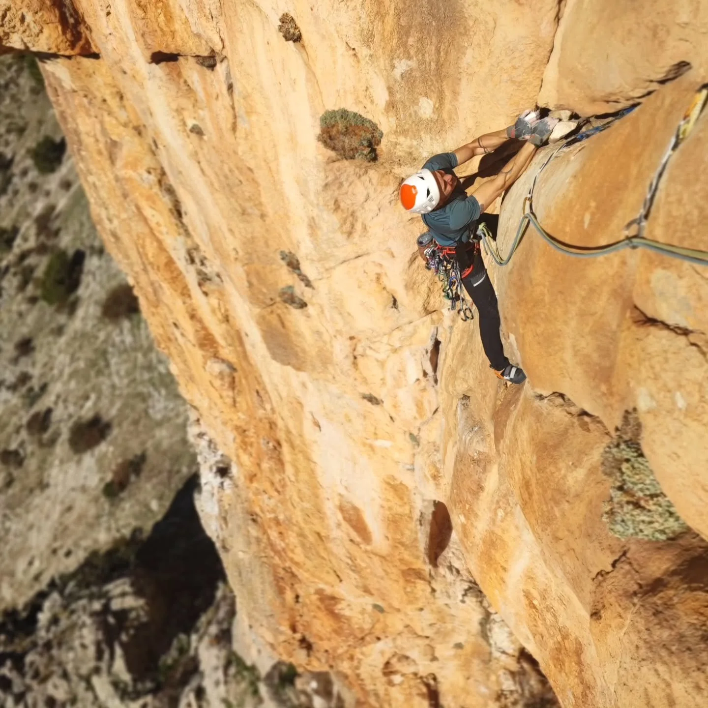 Aunque de dimension mediana, esta espectacular ruta de Alcandoras no tiene nada que envidiar a las m&aacute;s grandes. Nos ha dejado m&aacute;s que escalado y con muy buen sabor de boca. Unos largos incre&iacute;bles con un ambiente insuperable. Una 