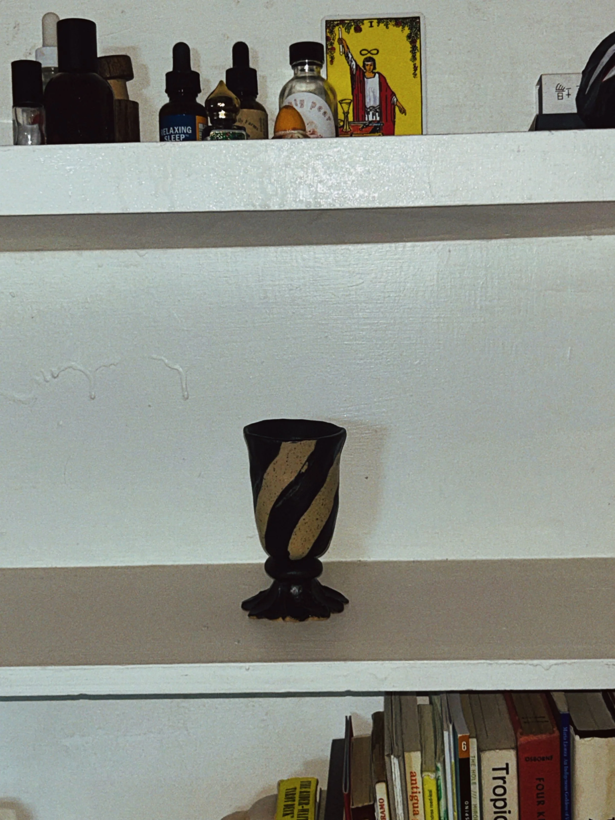 RNI-Films-IMG-4104E036-0635-4F30-8E30-FA7B91E814C5 2.JPG