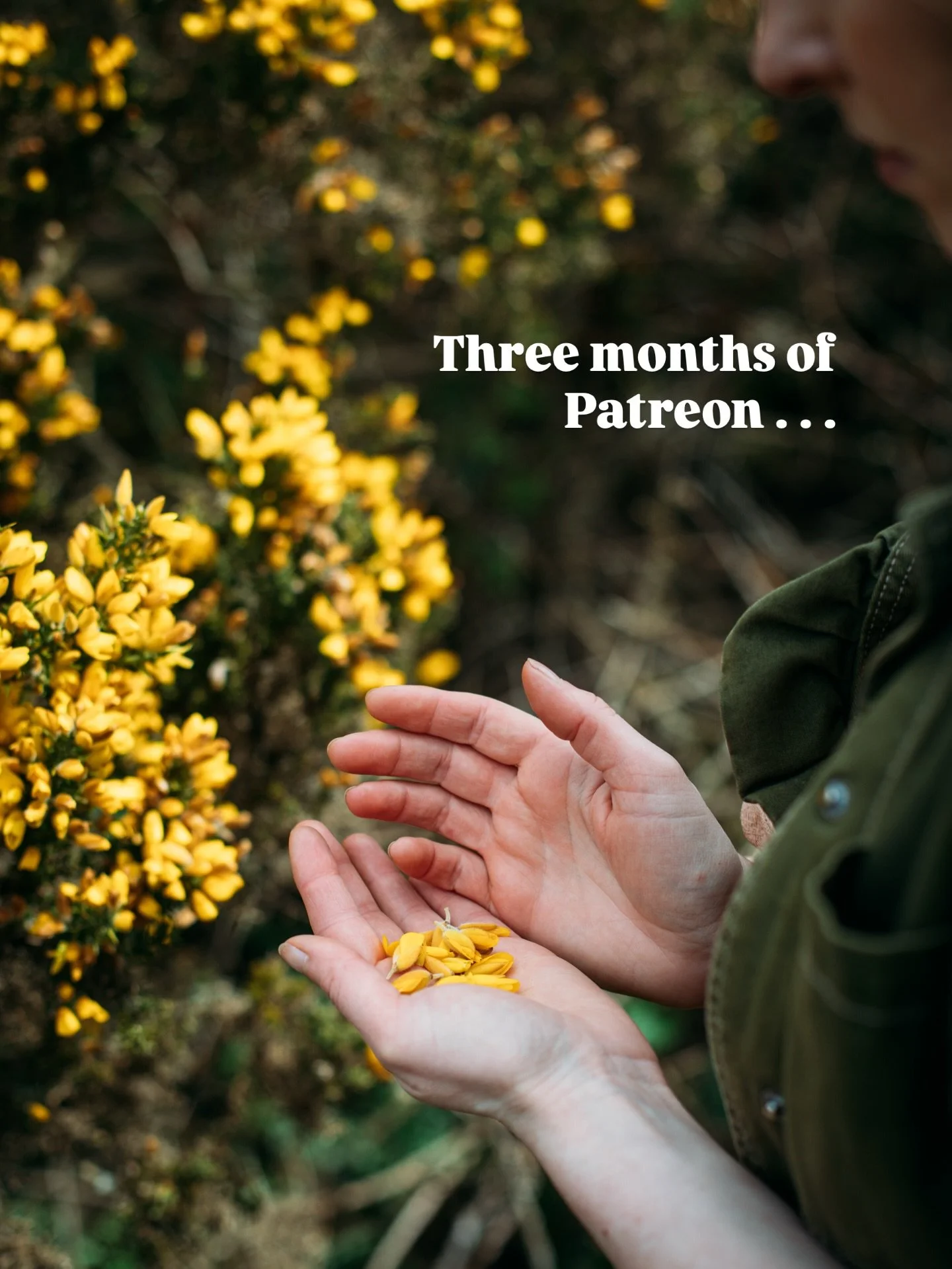 Reflecting on the first three months as a patreon creator, I&rsquo;m delighted by what I&rsquo;ve been able to share with the beautiful community that has gathered so far. 

I have been pouring my heart and soul into this, mustering all the joy of na