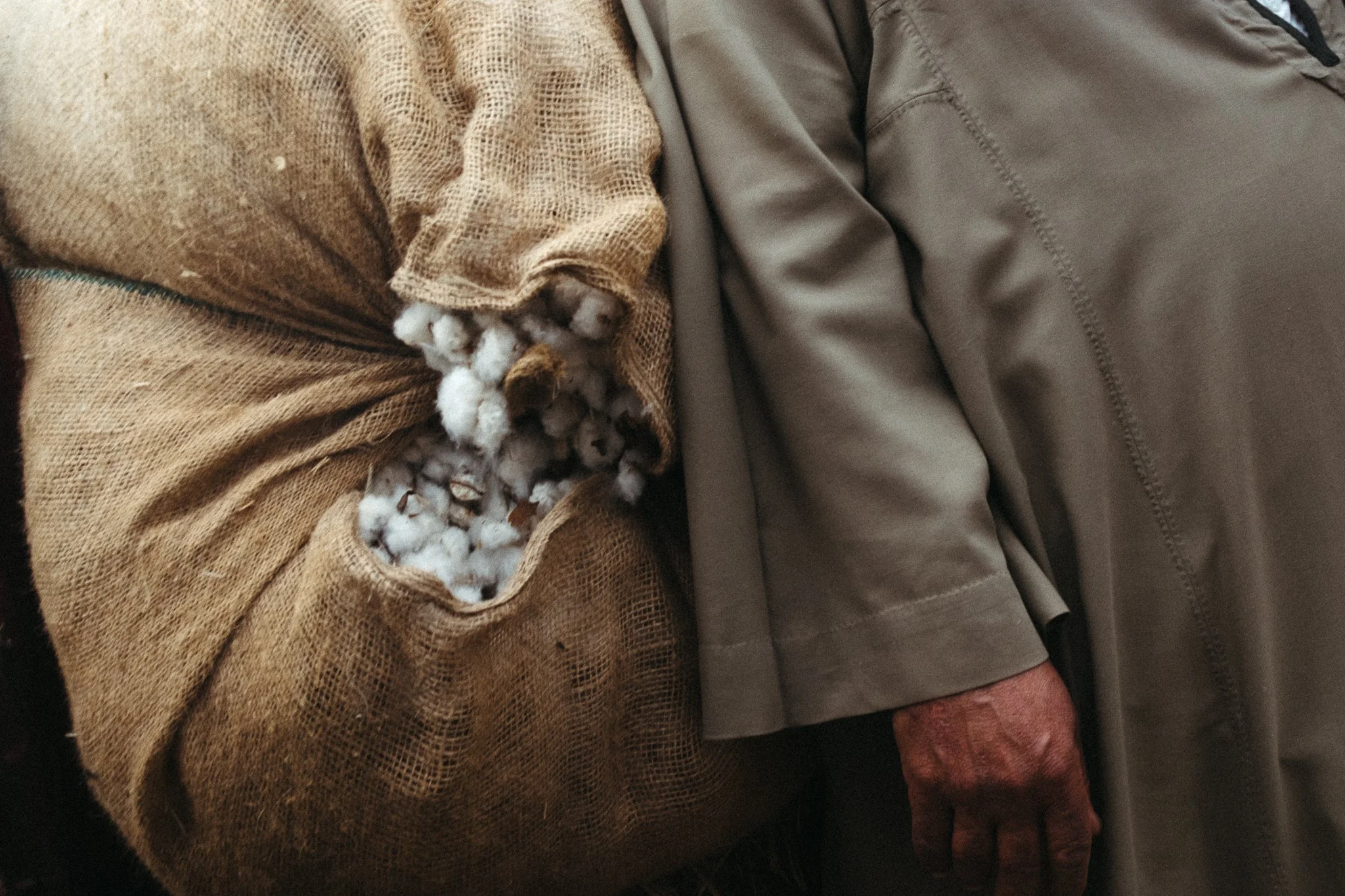 Kotn - Abc's Project