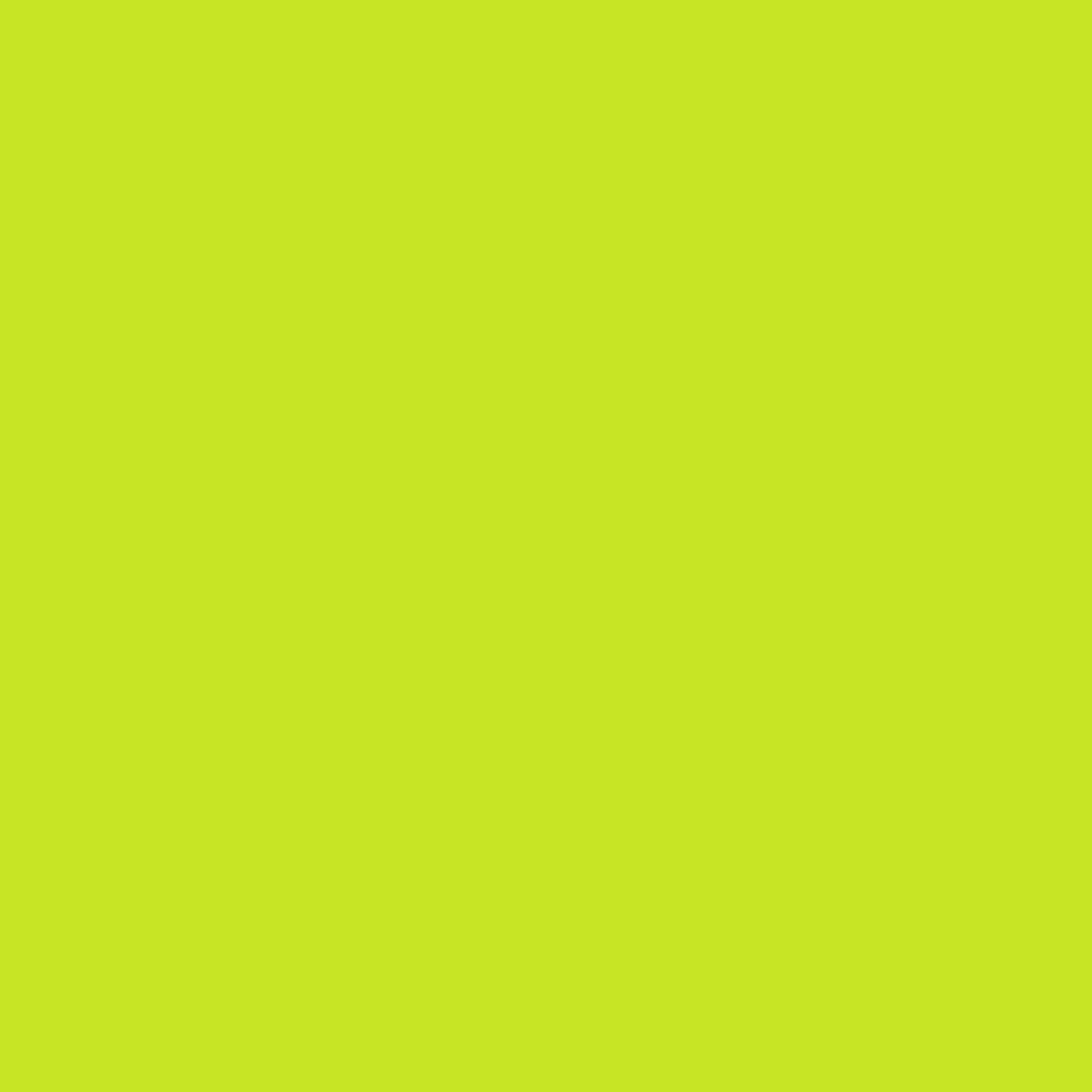 This image features a vibrant lime green background.