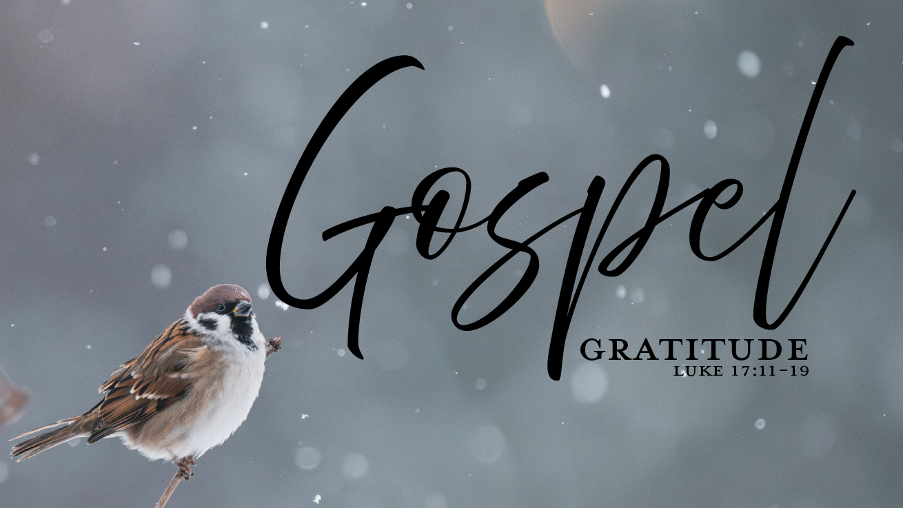 Gospel Gratitude
