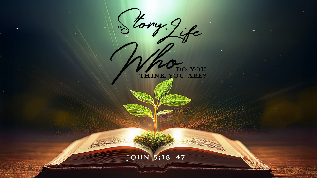 Who Do You Think You Are?