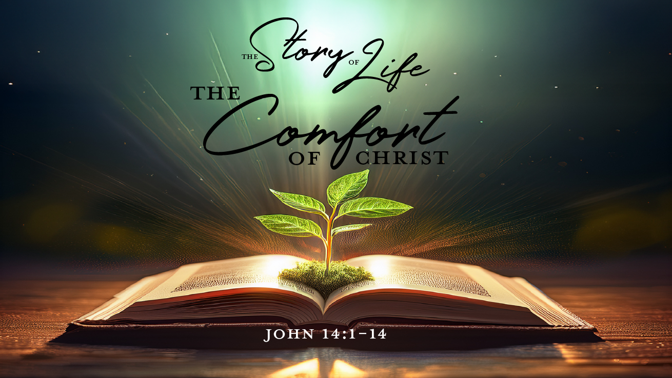 The Comfort of Christ