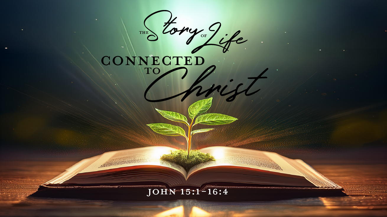 Connected to Christ