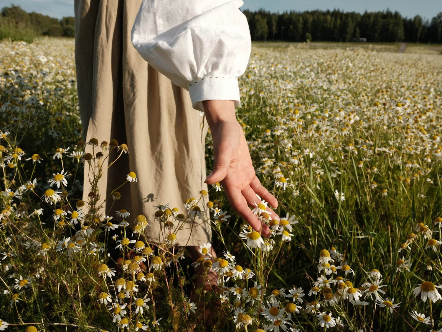 aino papinniemi345.jpg