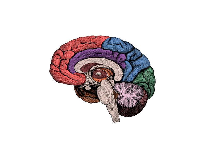 REGISTERED PATENTS