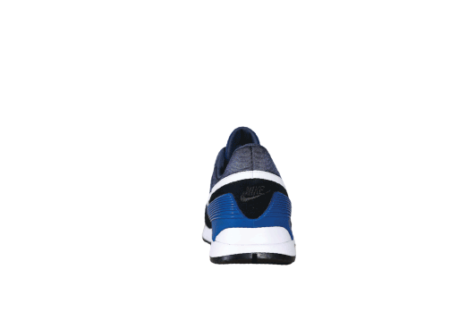 fig 04 : PHOENIX