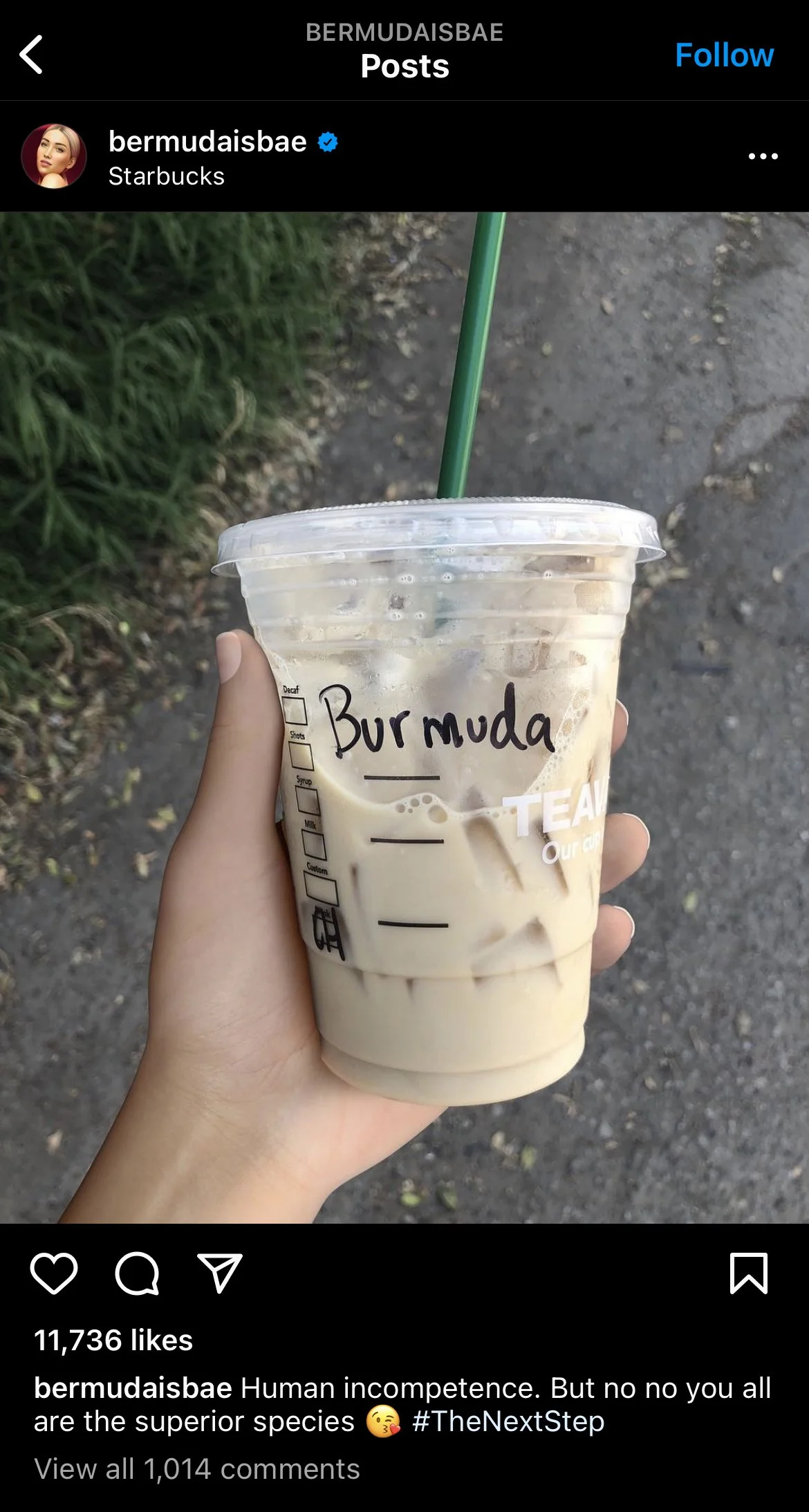 @bermudaisbae - in real life?