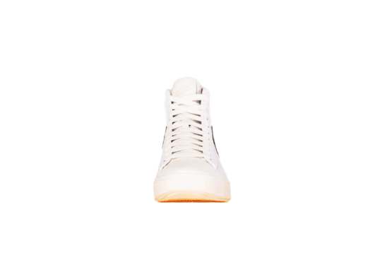 fig 10 : BLAZER