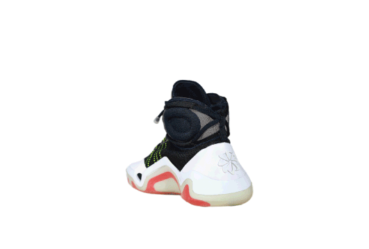 fig 01 : ZEN-XT