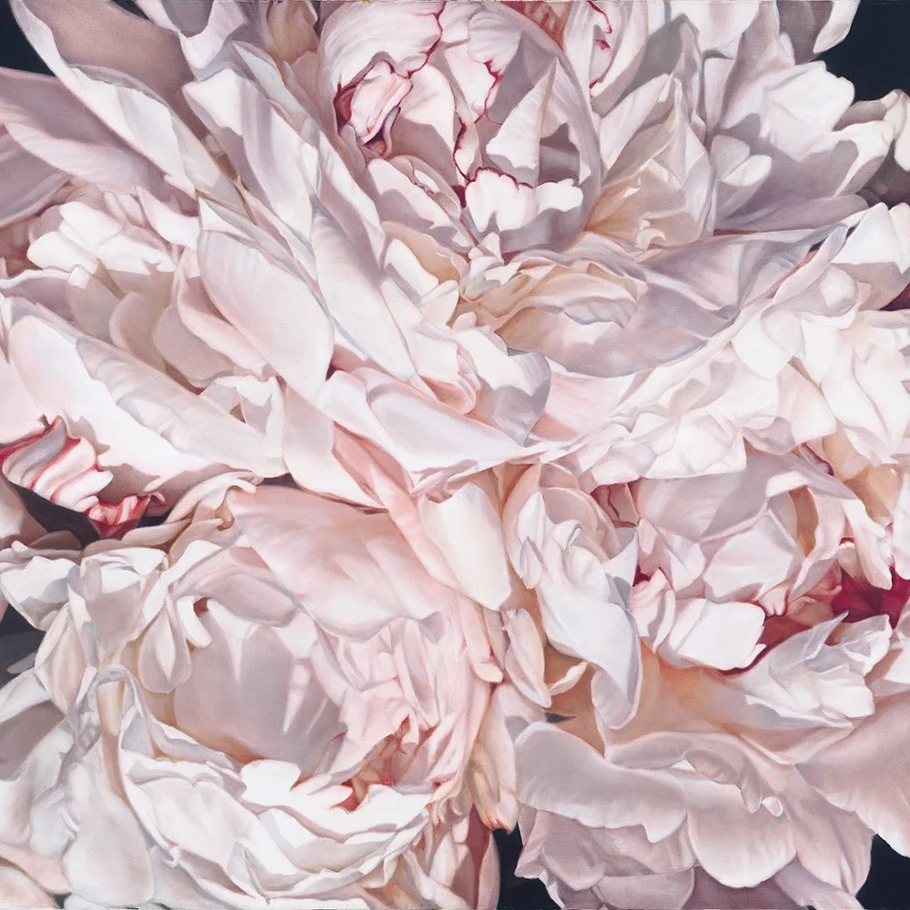 TD-1 Peonies Close Up