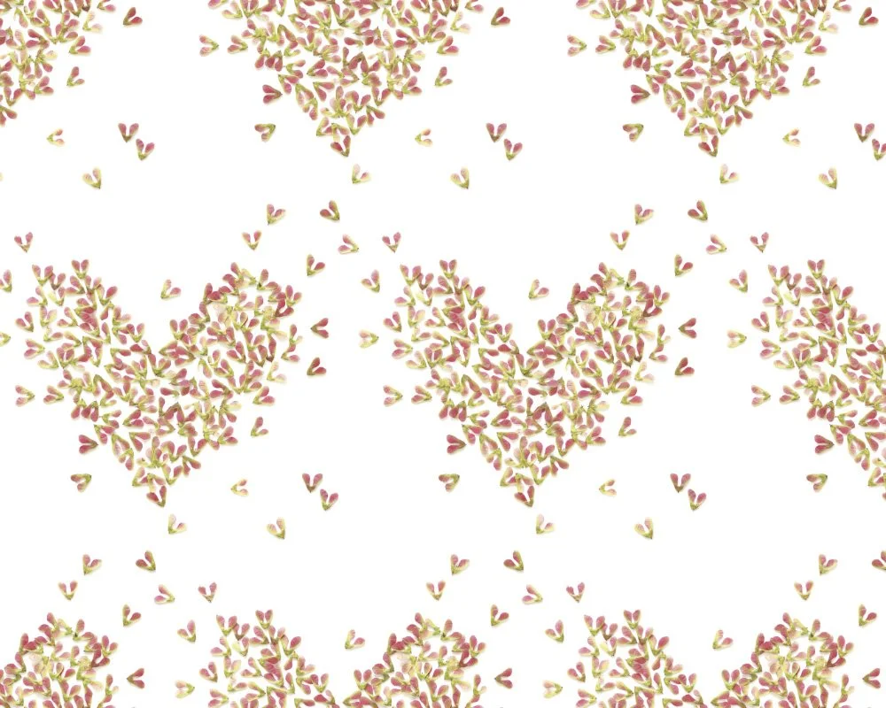 MJH-6  Expanding Heart_Art WEB.jpg