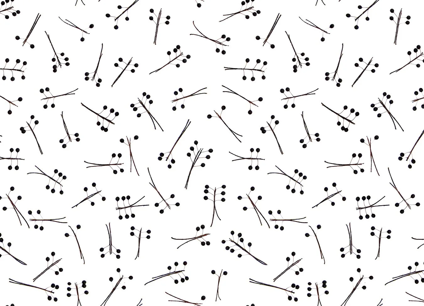 MJH-16 Hackberry_Art WEB.jpg