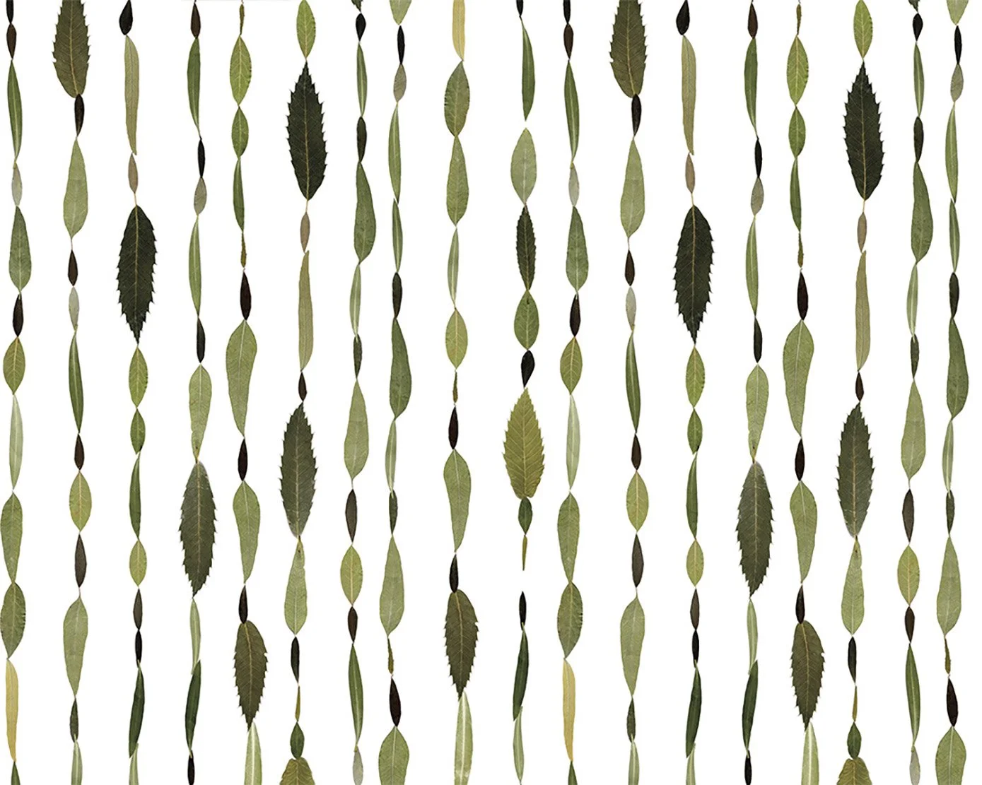 MJH-8 Leaf Stripes_Art WEB.jpg