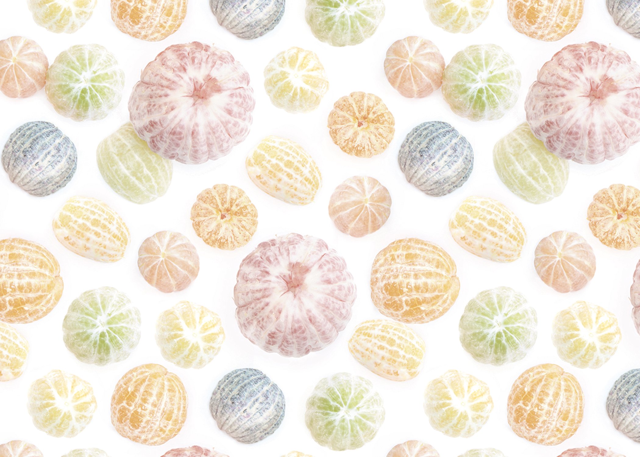MJH-14 Fruit Medley_Art WEB.jpg