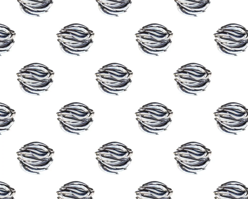 MJH-1 Anchovy Dots_Art WEB.jpg