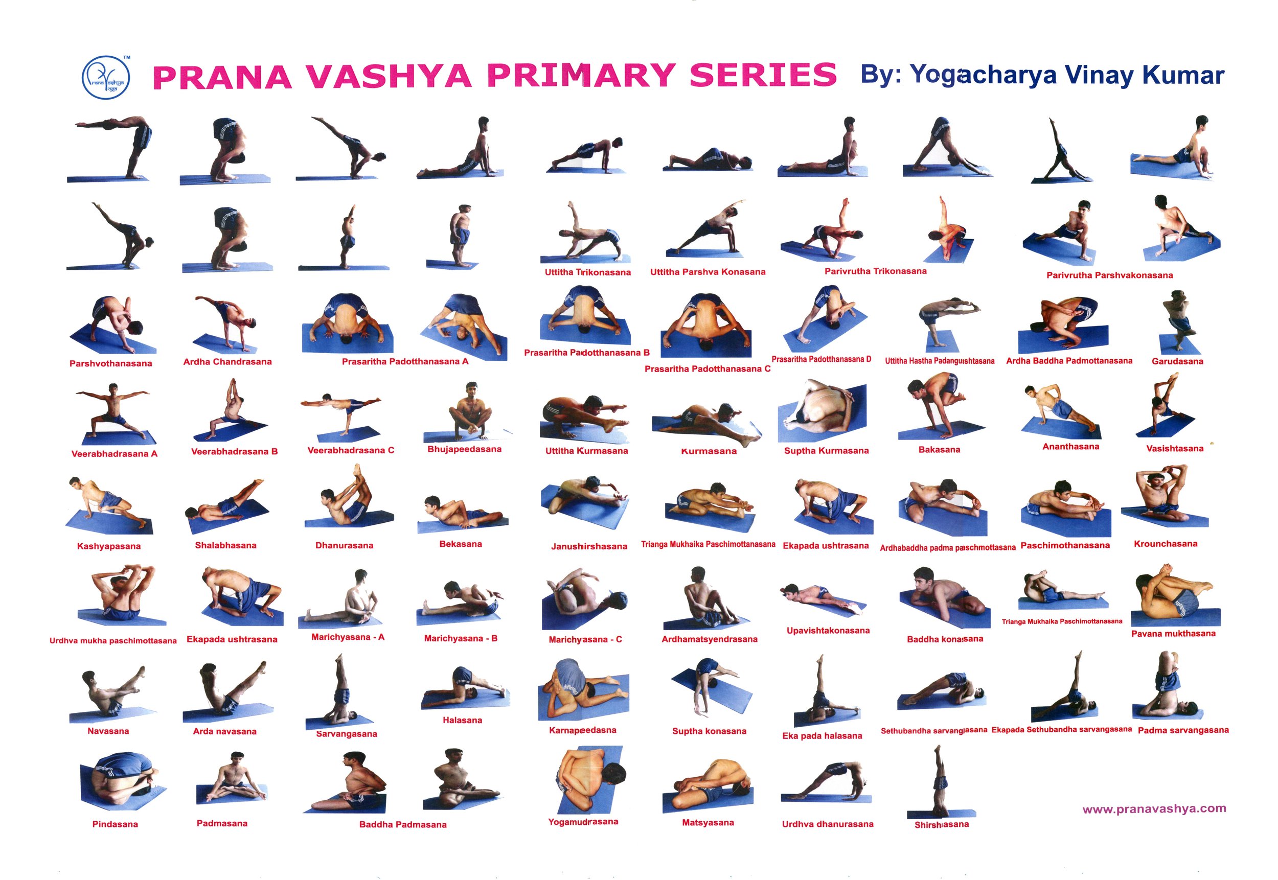 Prana Vashya Primary Series.jpg