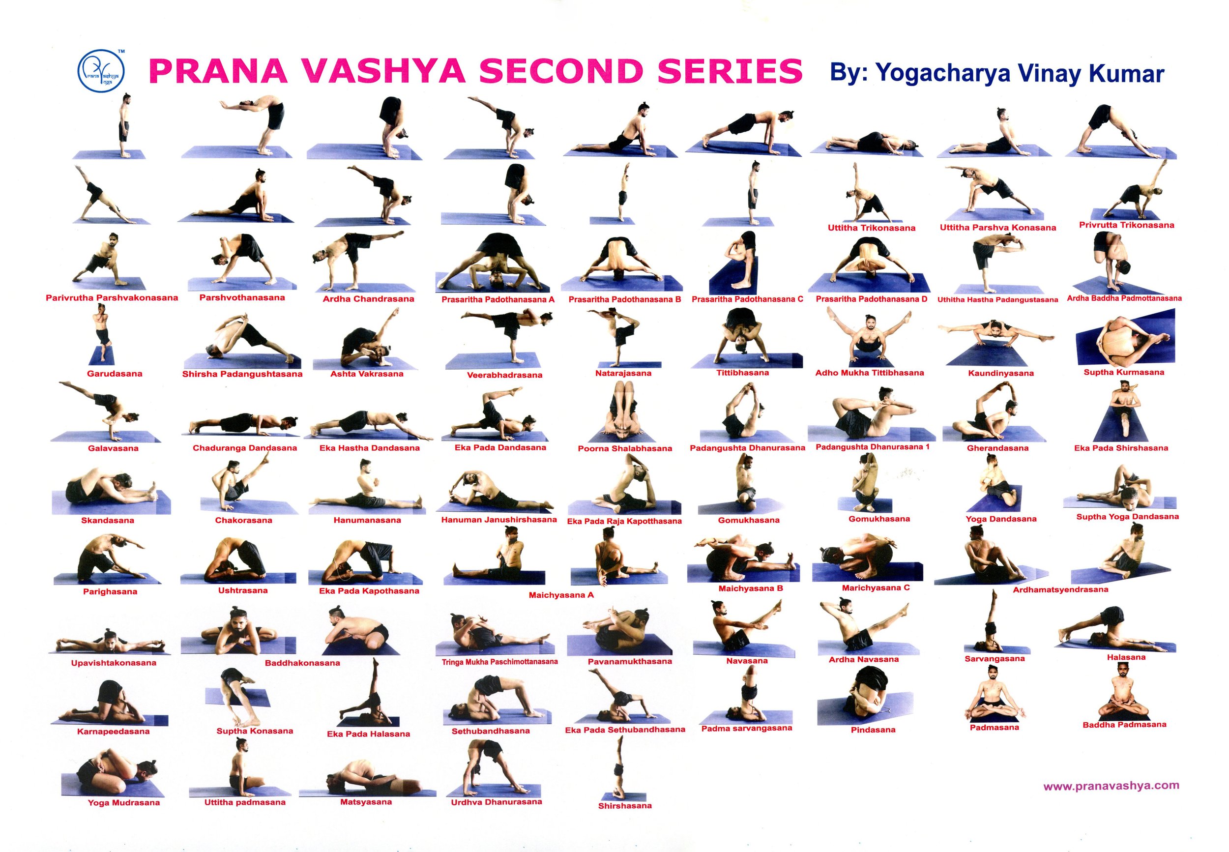 Prana Vashya Second Series.jpg