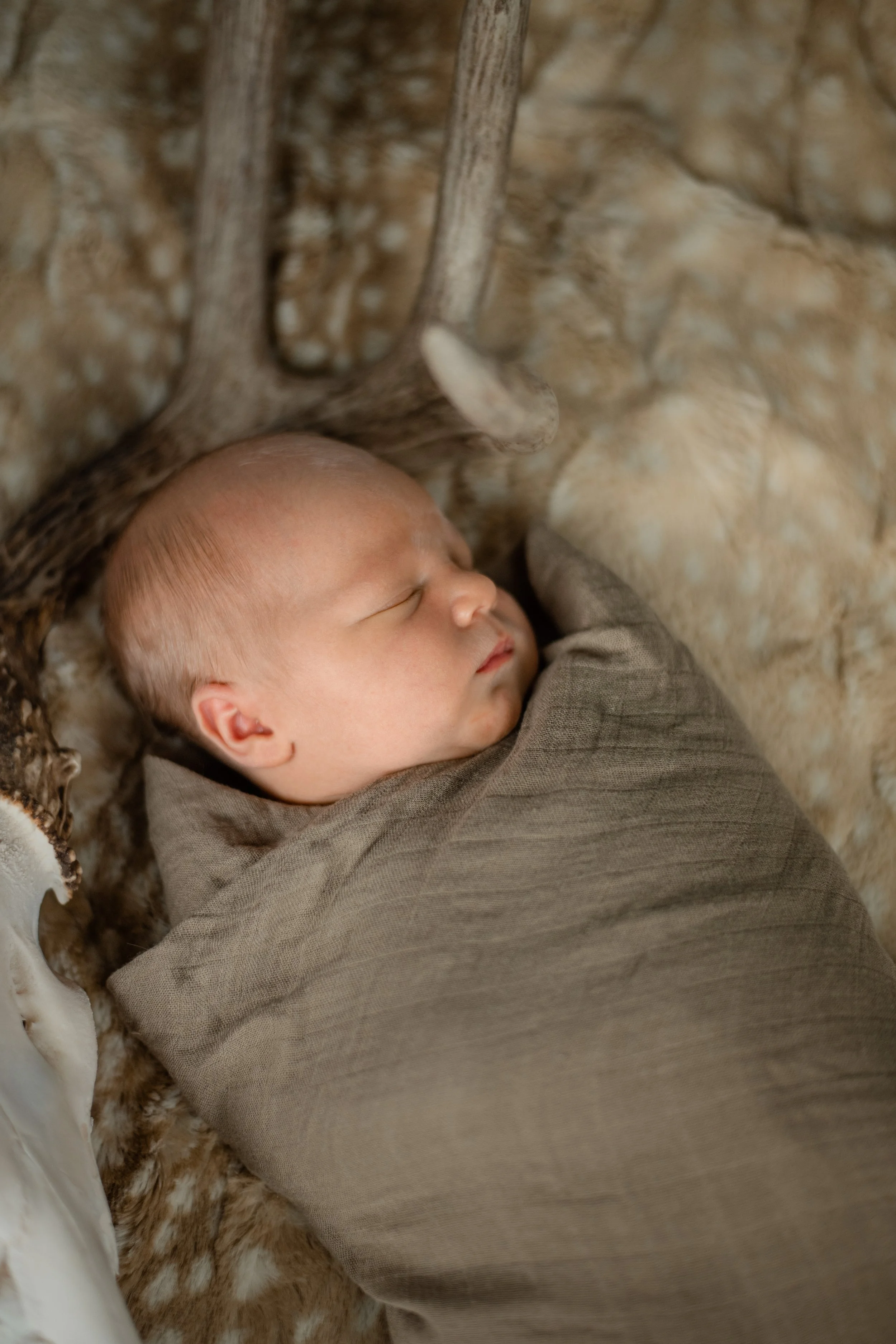 Quinton 1 Week Old_27.JPG