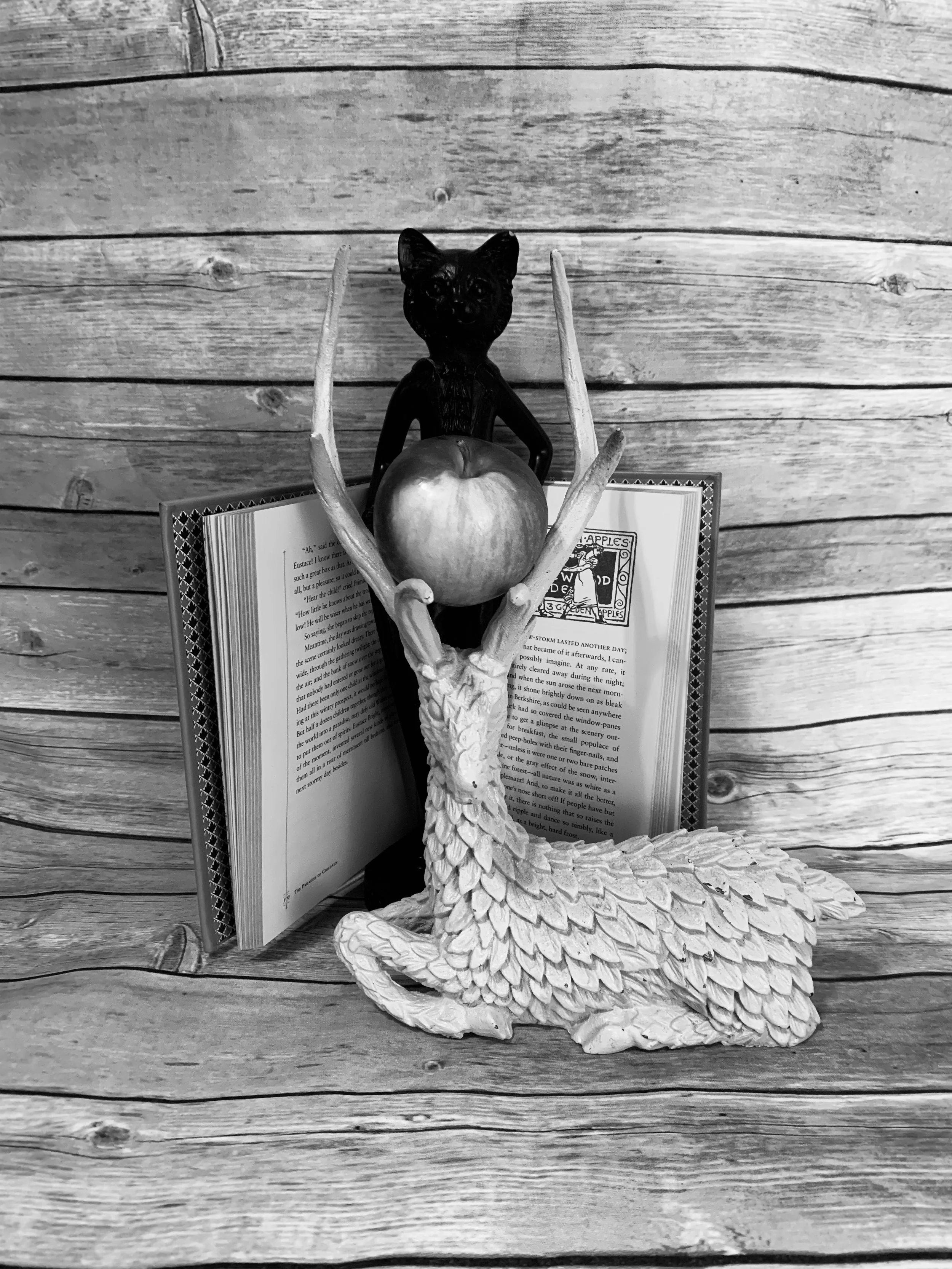 IMG_0481 - Logen Cumbo.jpg