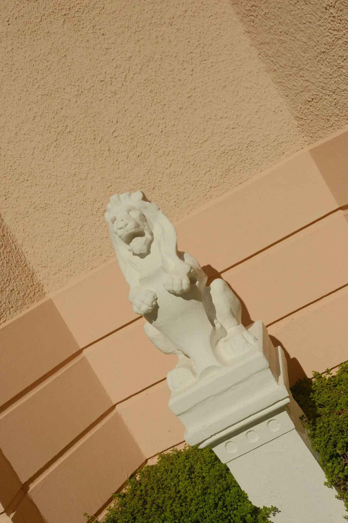 DSCF0204.JPG