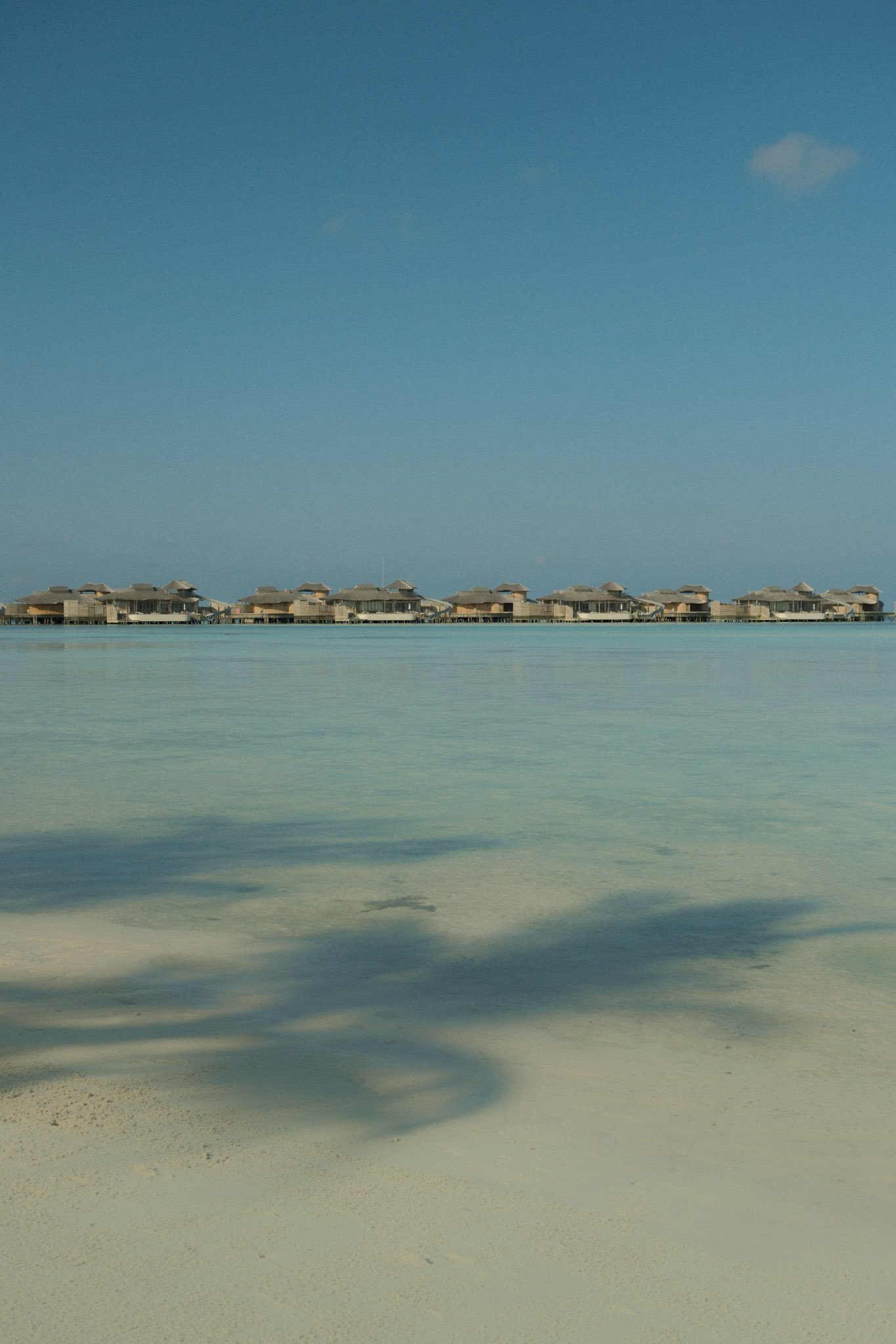 DSCF7572.JPG