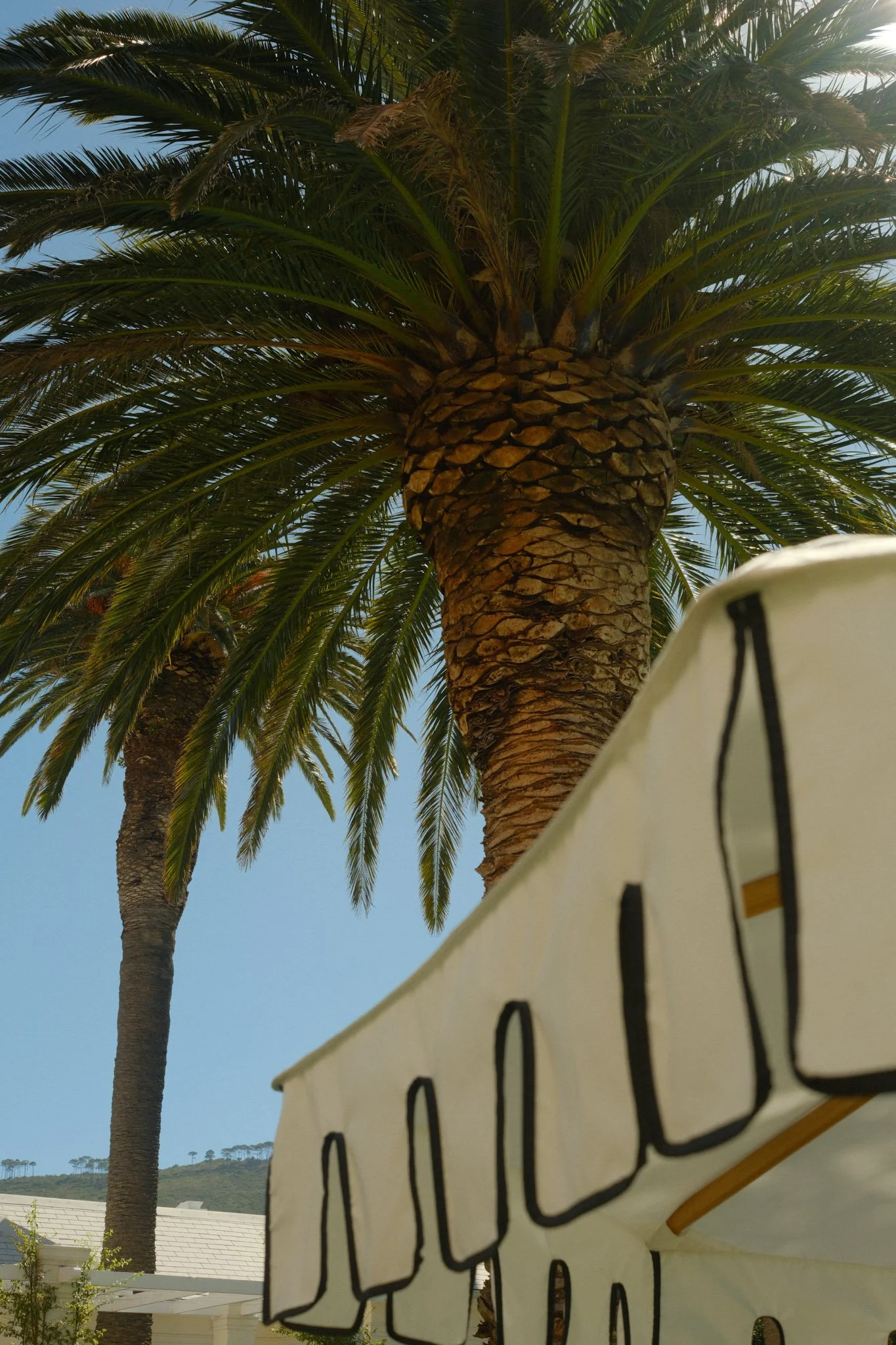 DSCF0318.JPG