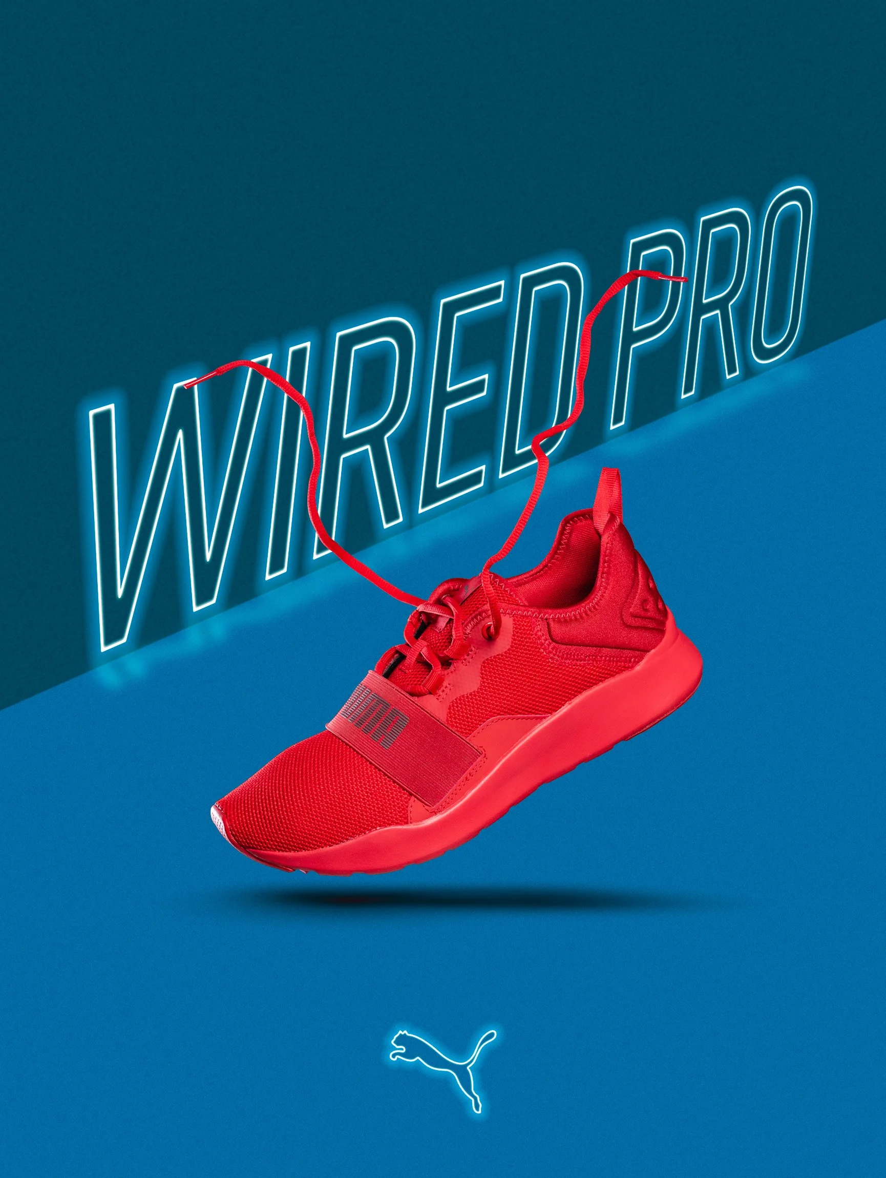 Puma-1.jpg