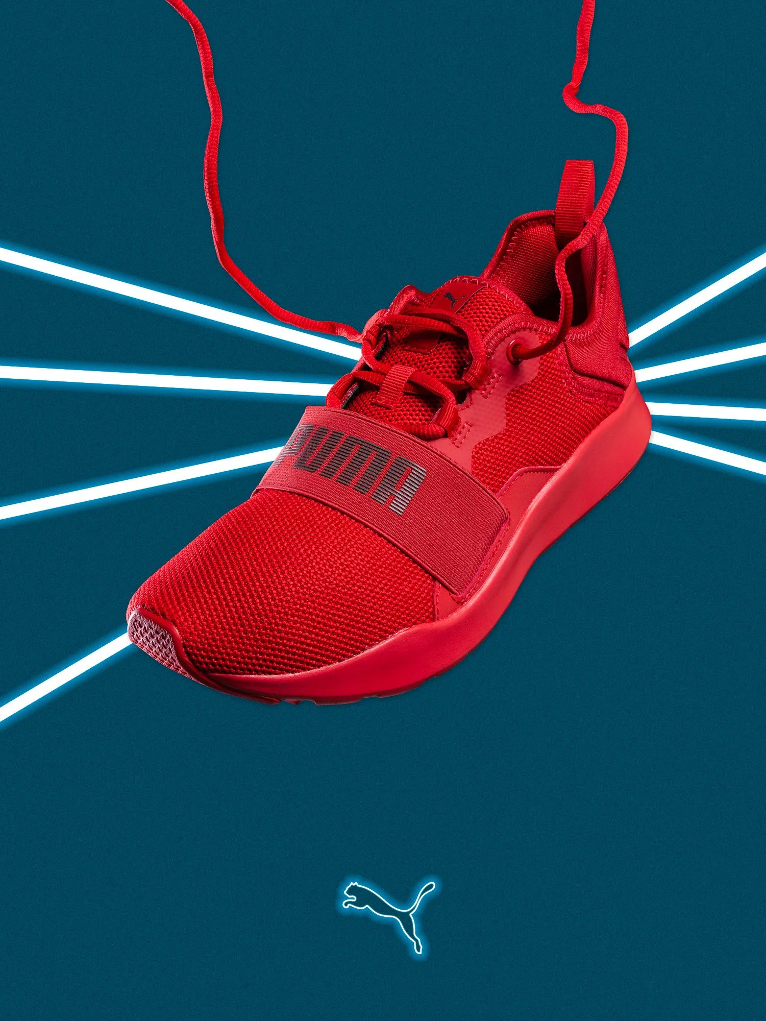 Puma-2.jpg