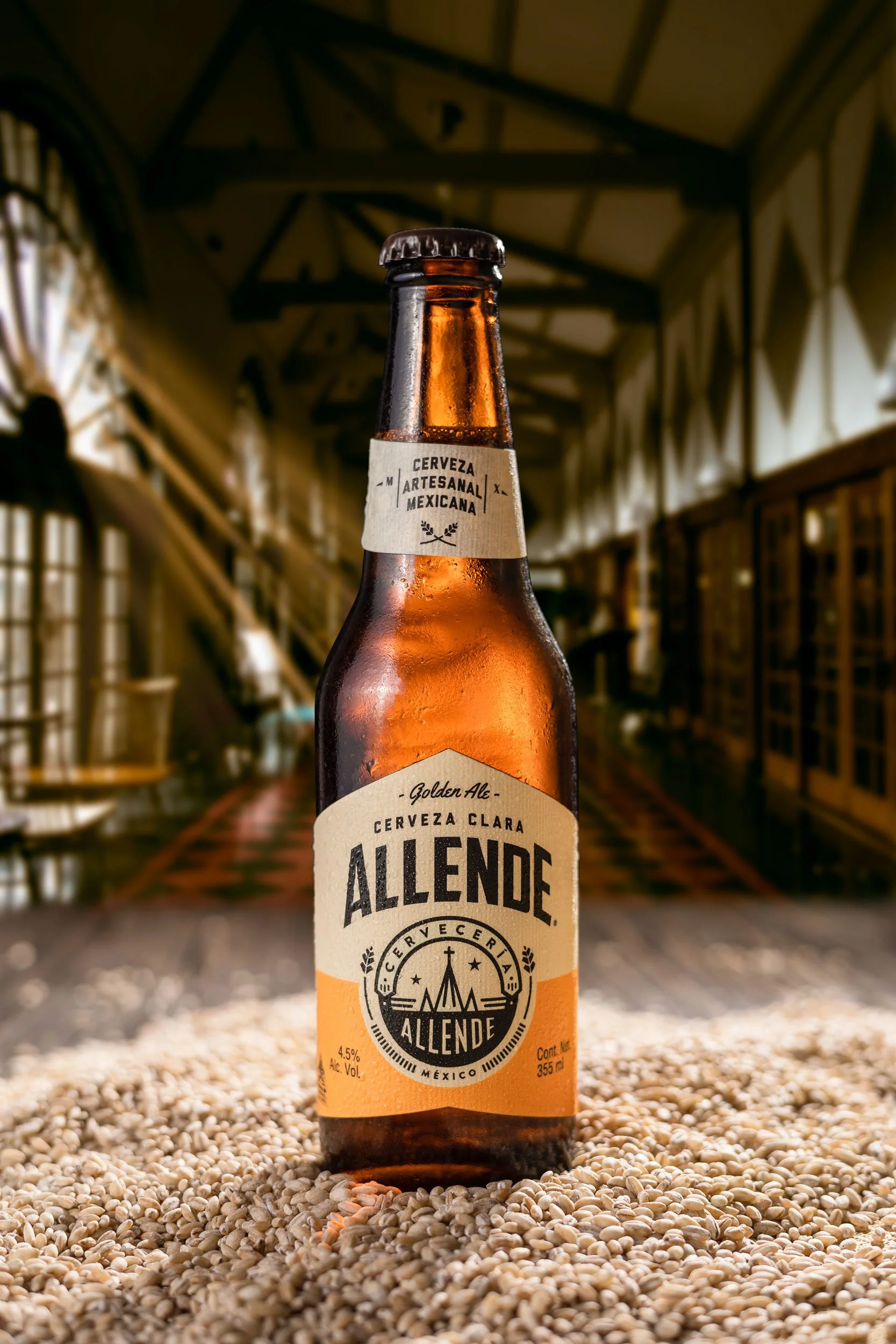 Allende-5.jpg