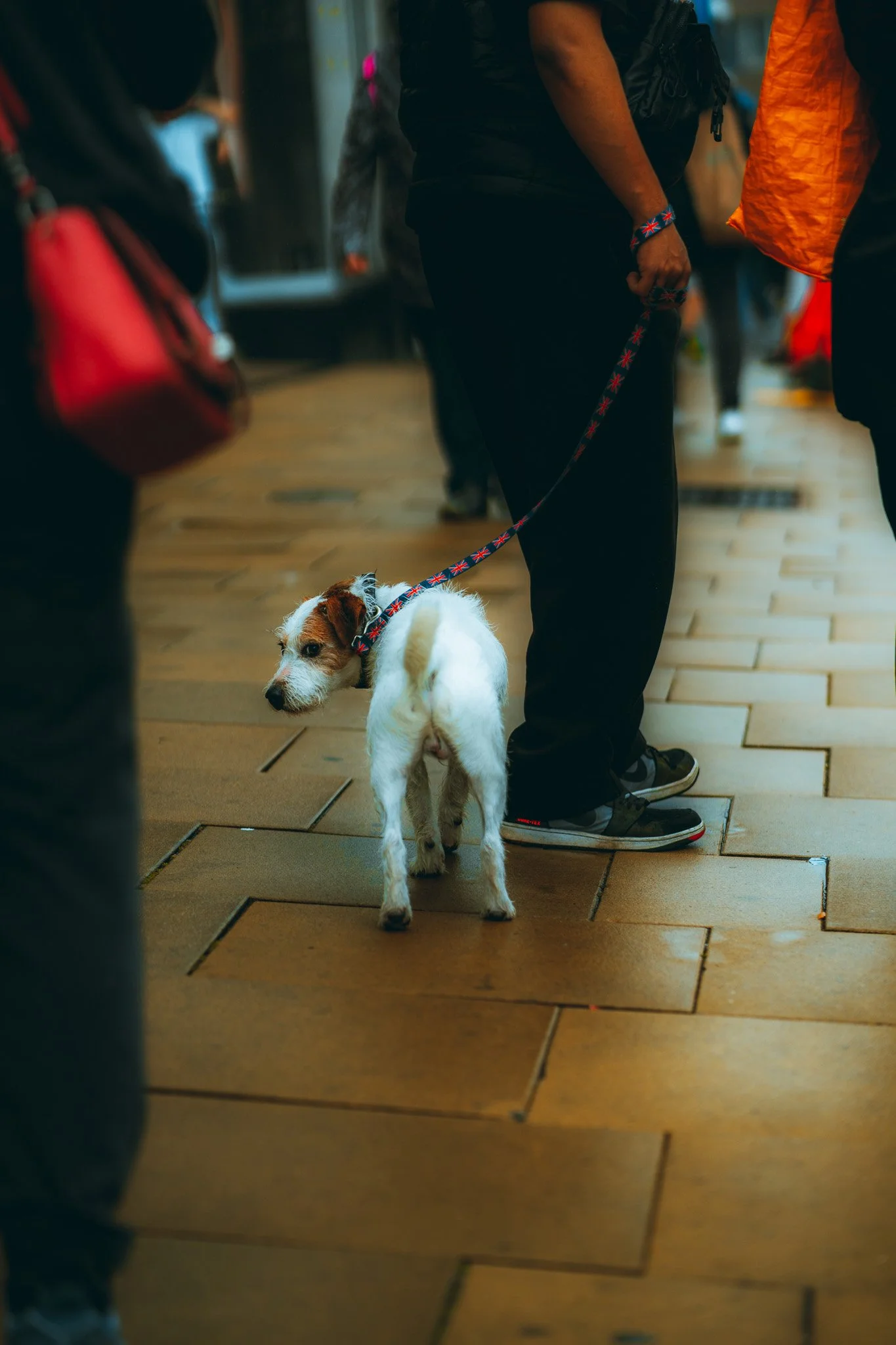 A wet photo walk in Guildford