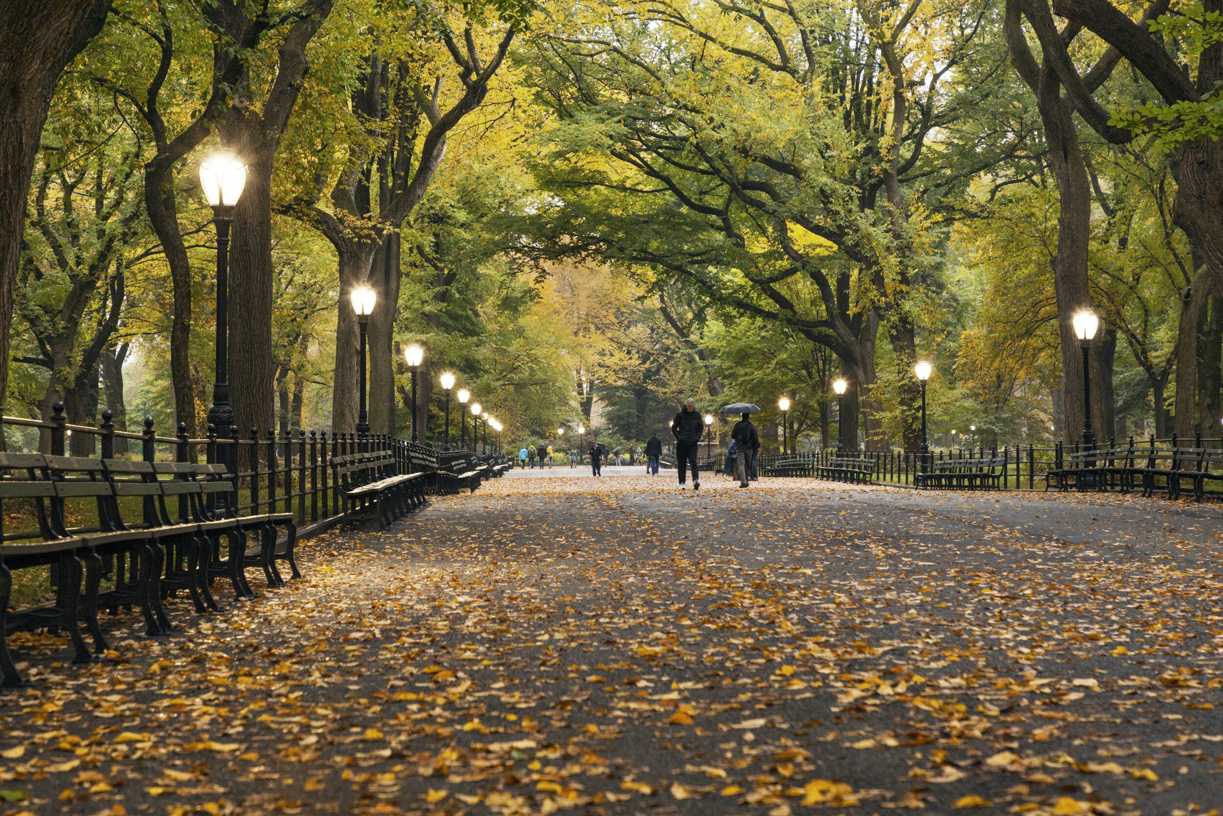 Can You Get Married in Central Park? What You Need to Know