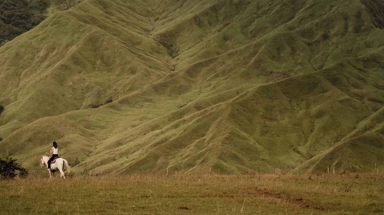 A lone rider crosses rolling hills on horseback, figure moving slowly through patterned grasslands like a cinematic couples film moment.