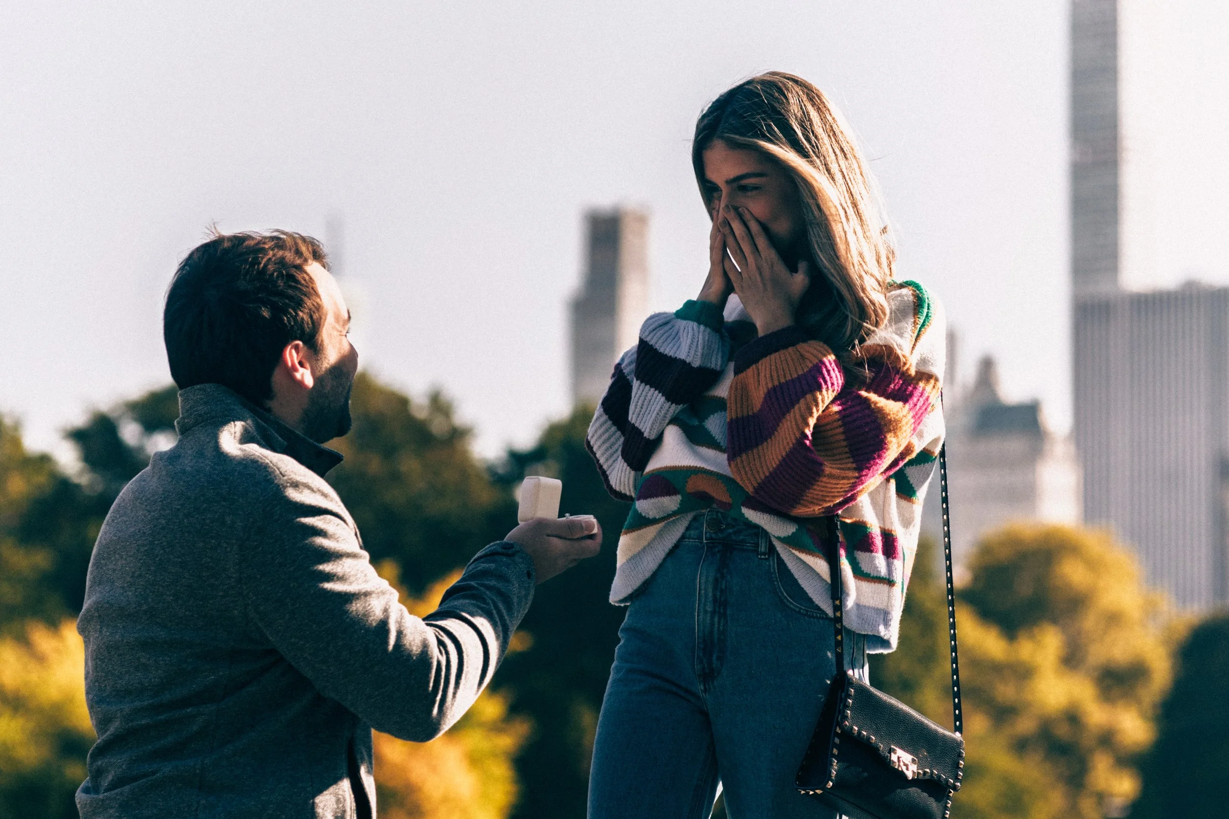 Central Park proposal · surprise engagement along the Mall in New York City