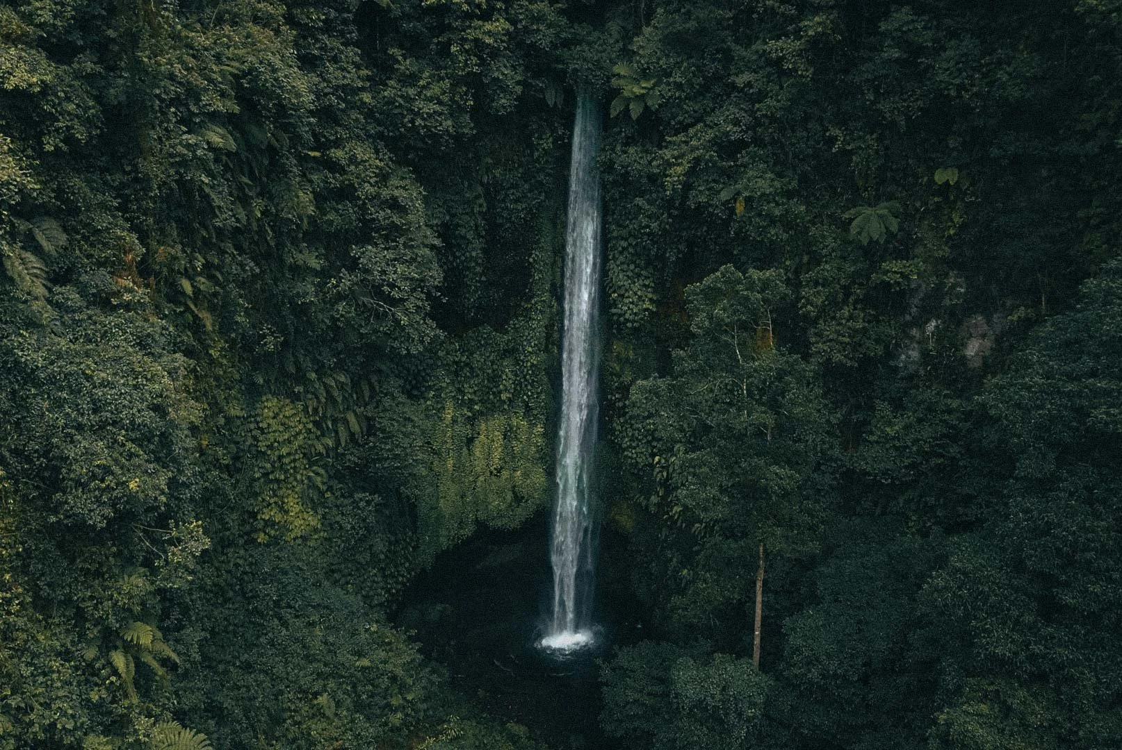 Waterfall floating in Bali jungles
