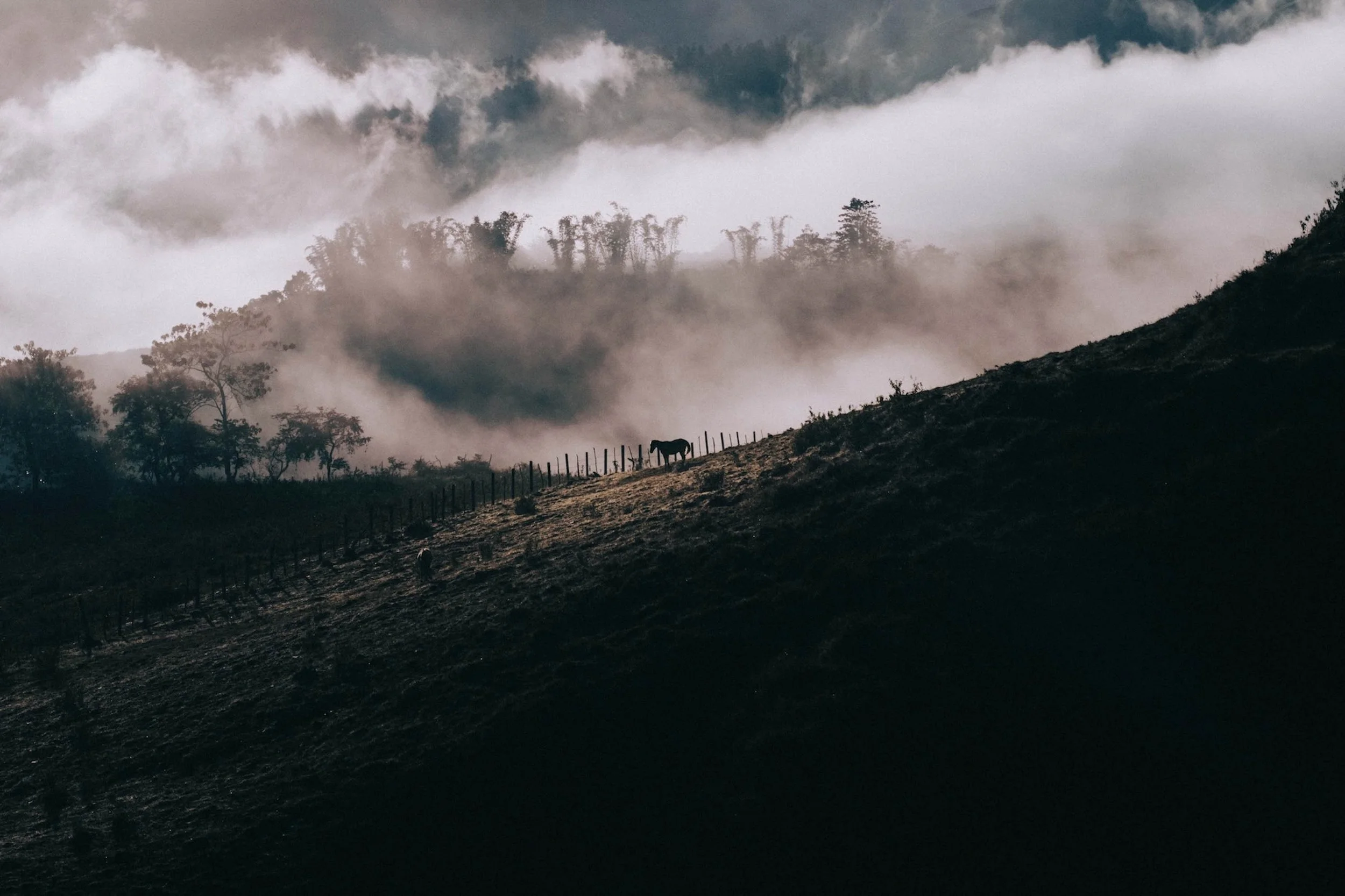 Silhouetted riders in clouds along the ridge, atmosphere for couples portrait photographer in Bali