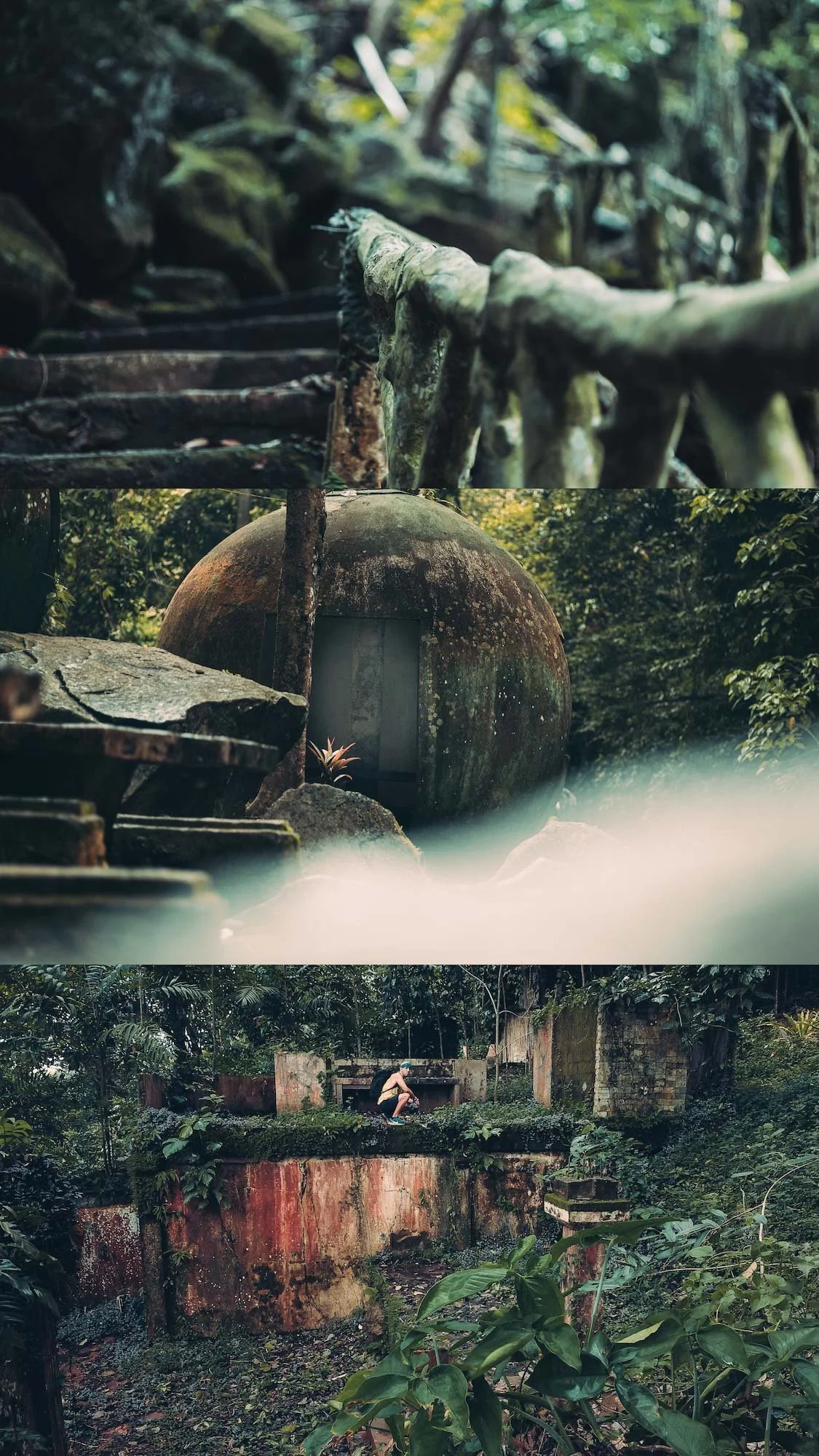 Wooden beams framing a rusted dome with vines, photographed in textured cinematic detail.
