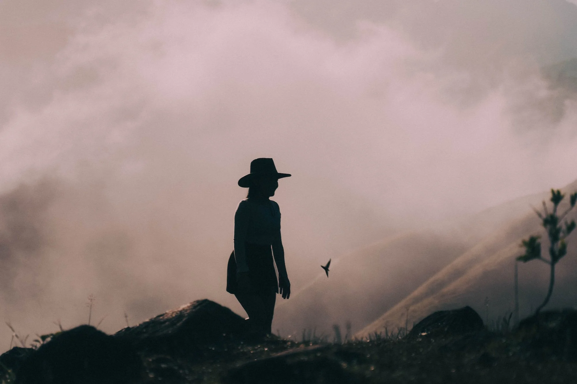 A silhouetted figure in a wide-brim hat walking through mist, shadows stretching into the distance, cinematic and mysterious